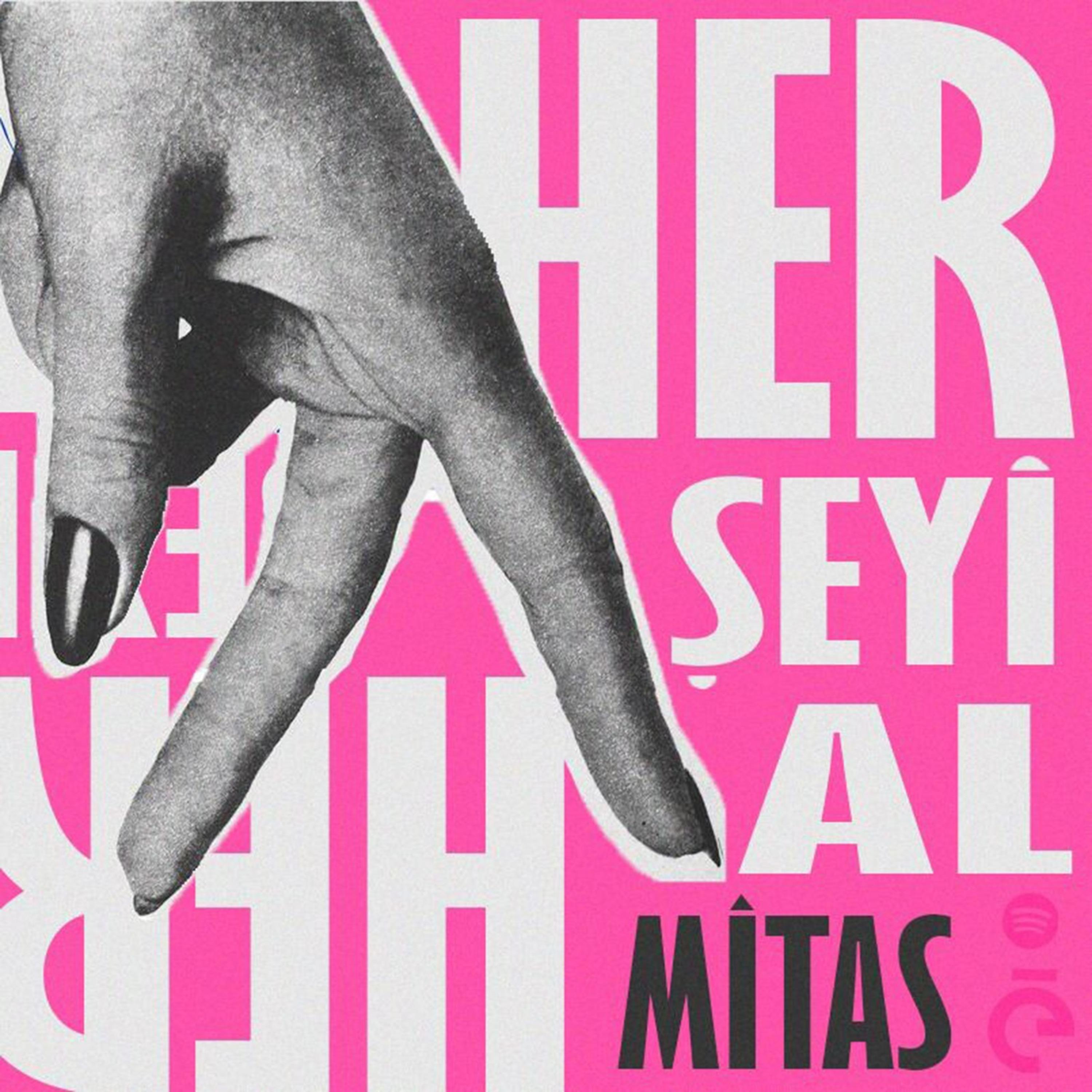 Постер альбома Her Şeyi Al