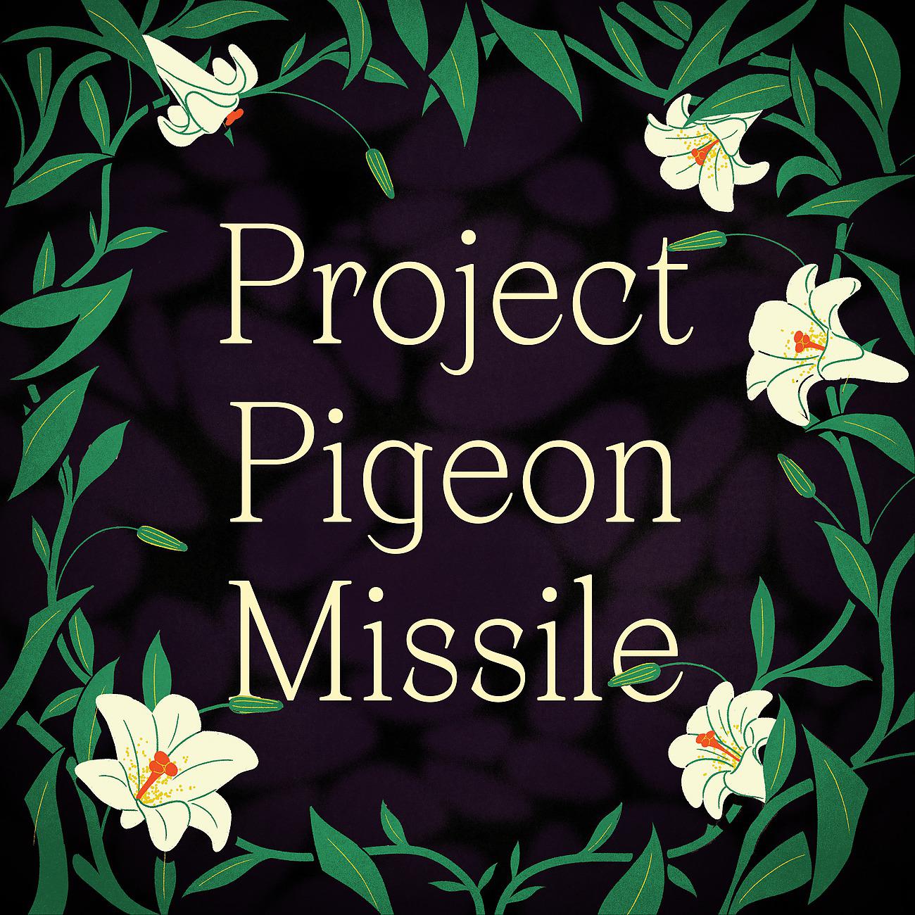 Постер альбома Project Pigeon Missile