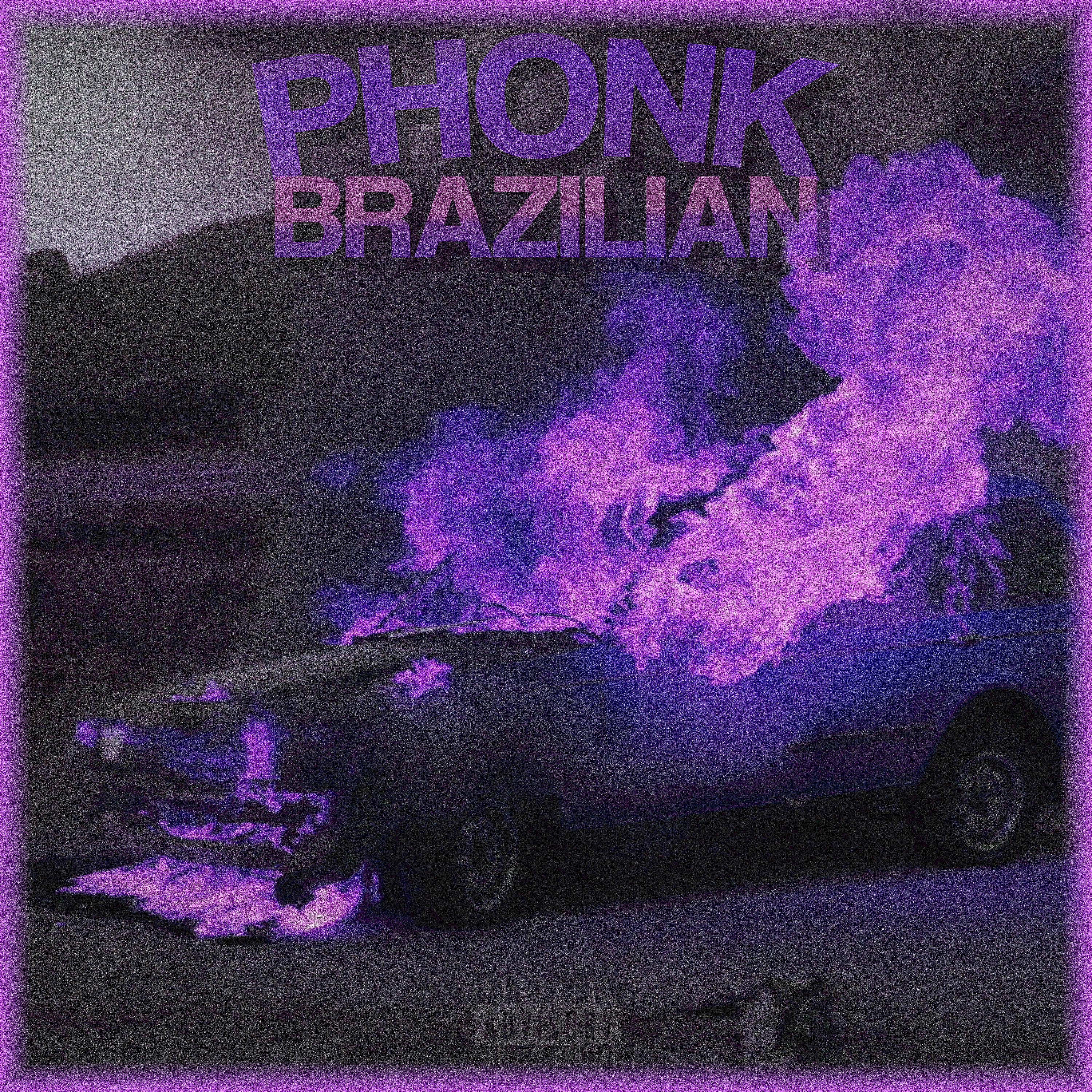 Постер альбома Phonk Brazilian