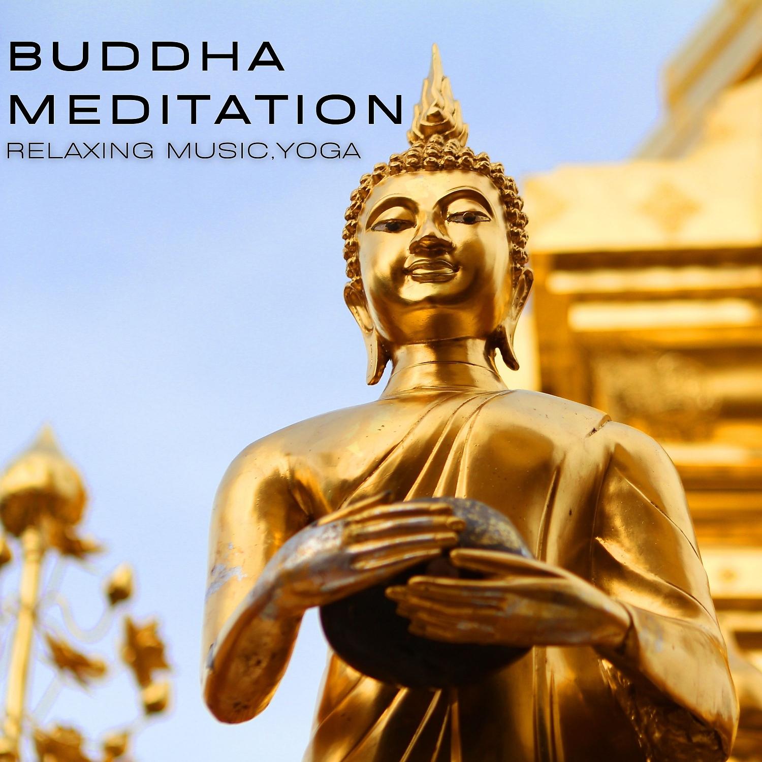 Постер альбома Buddha Meditation