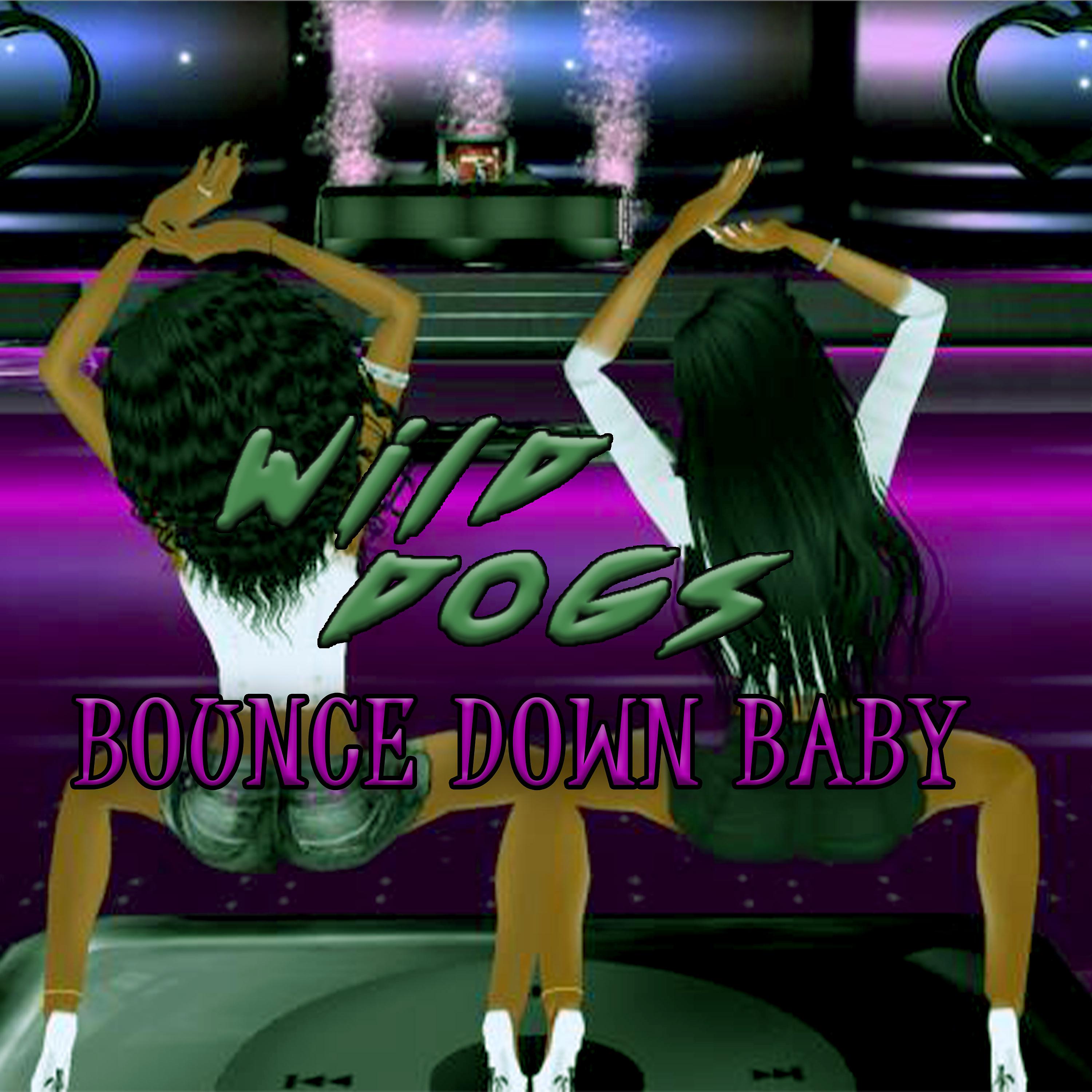 Постер альбома Bounce Down Baby