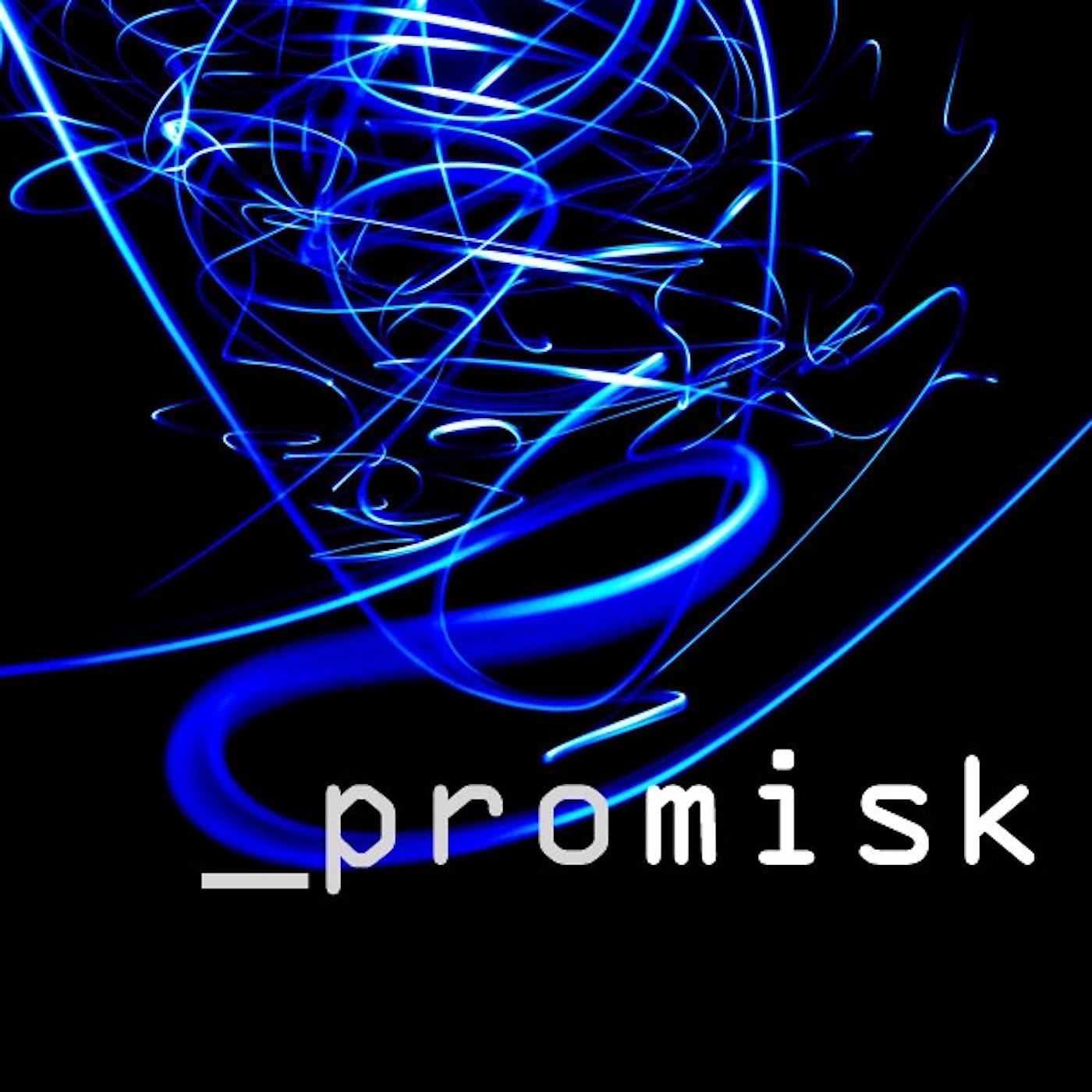 Постер альбома Promisk