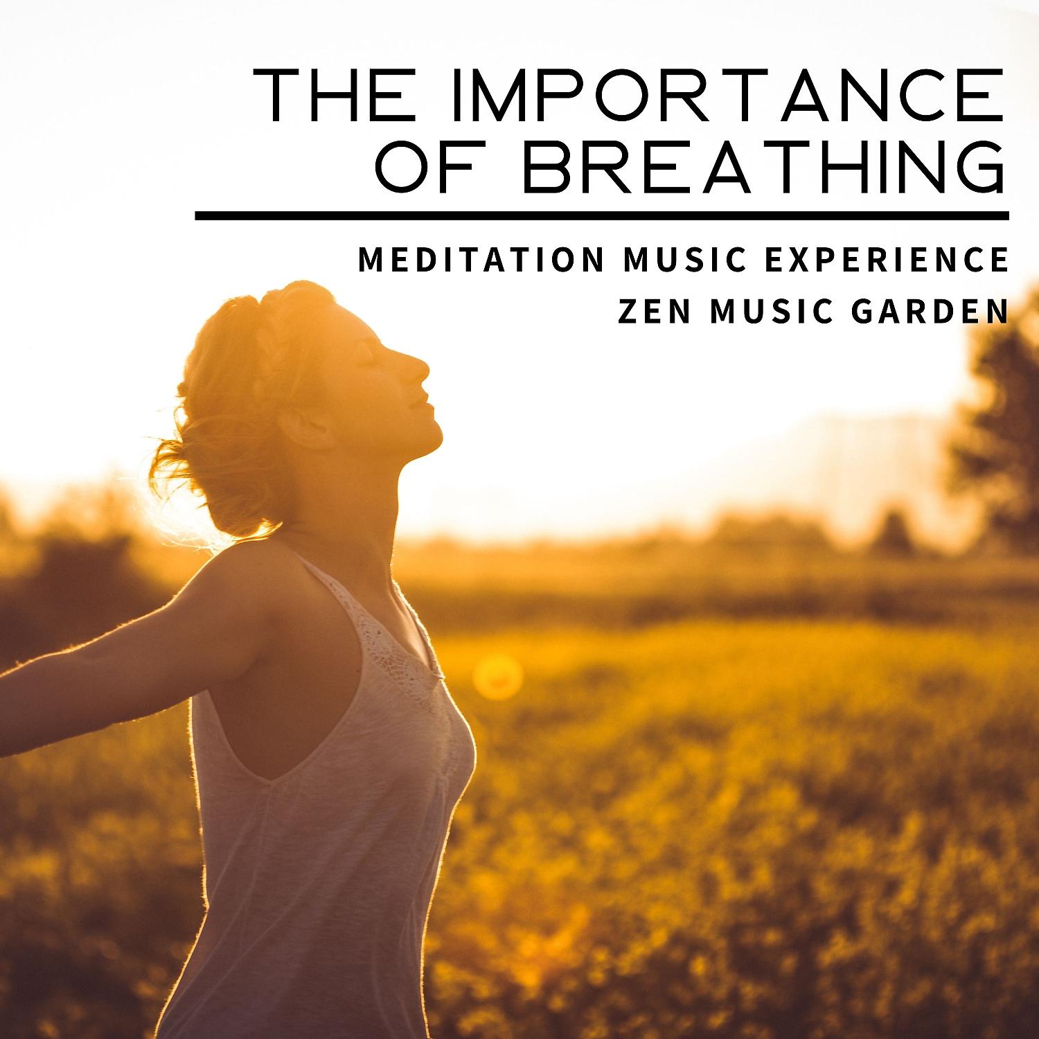 Постер альбома The Importance of Breathing