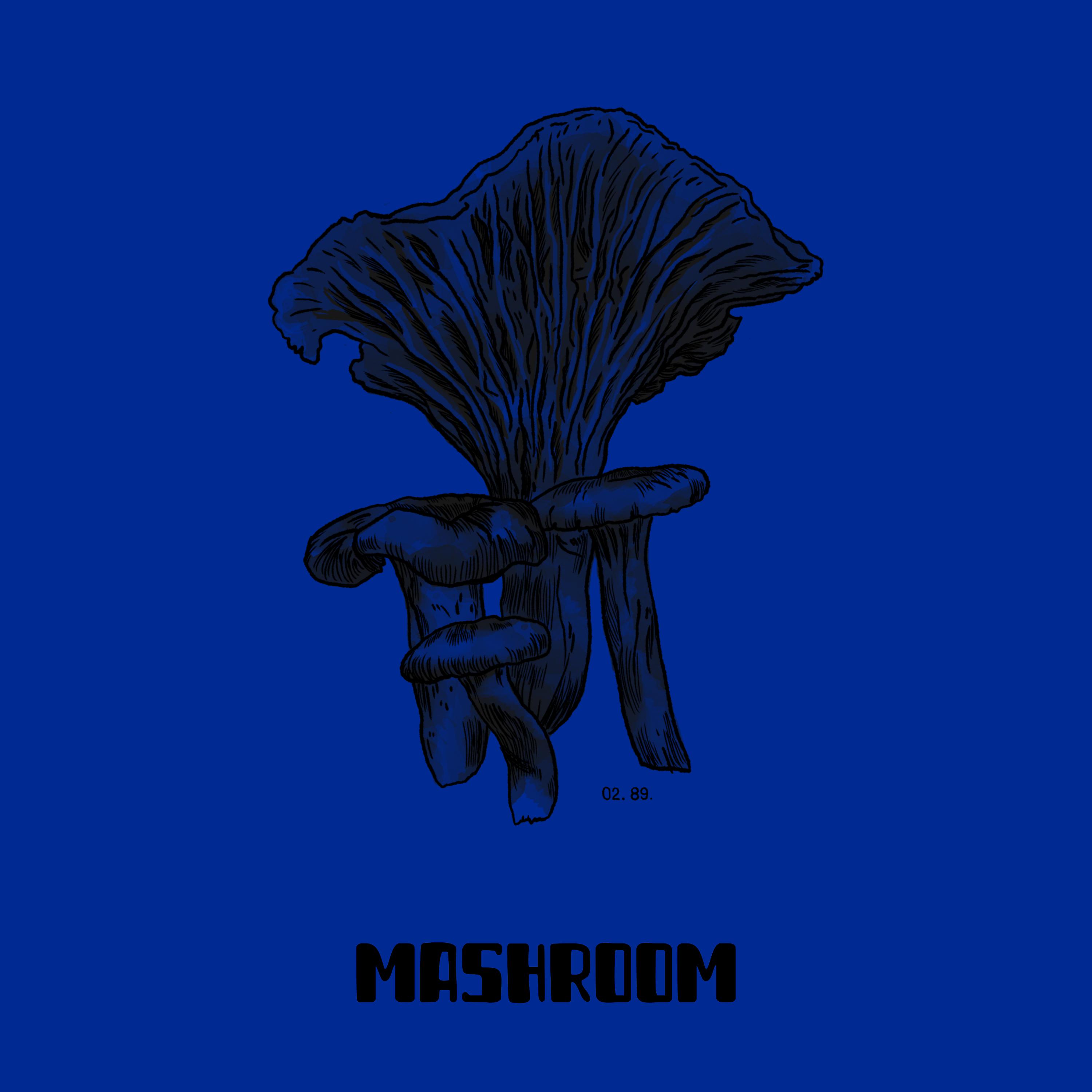 Постер альбома Mashroom