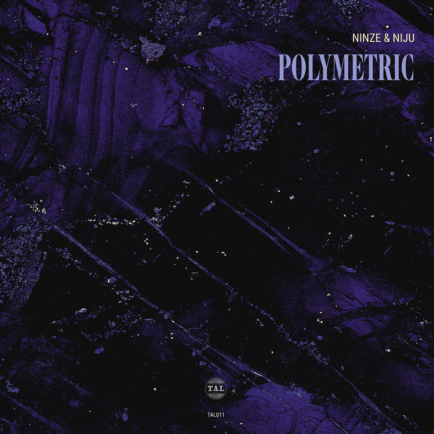 Постер альбома Polymetric EP