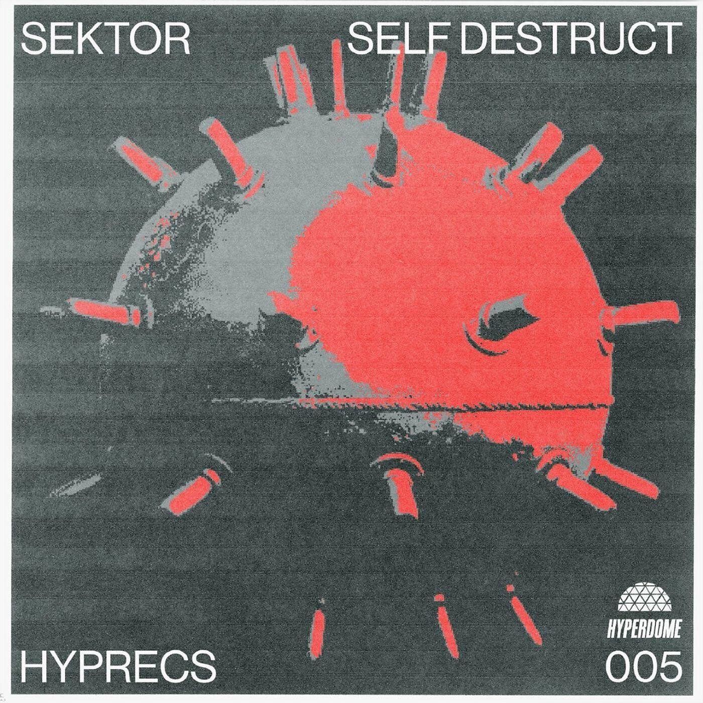 Постер альбома Self Destruct