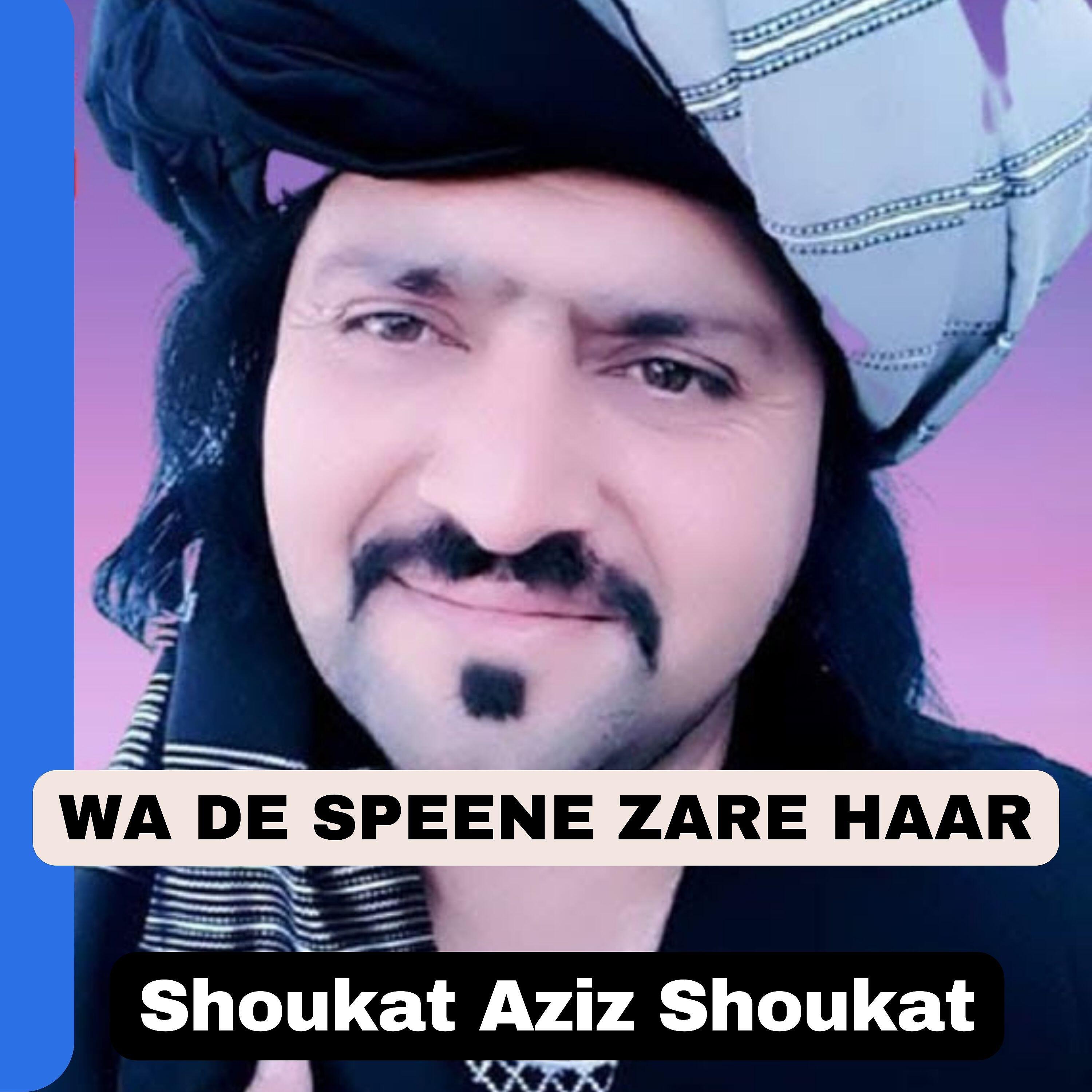 Shoukat Aziz Shoukat - Wa De Speene Zare Haar
