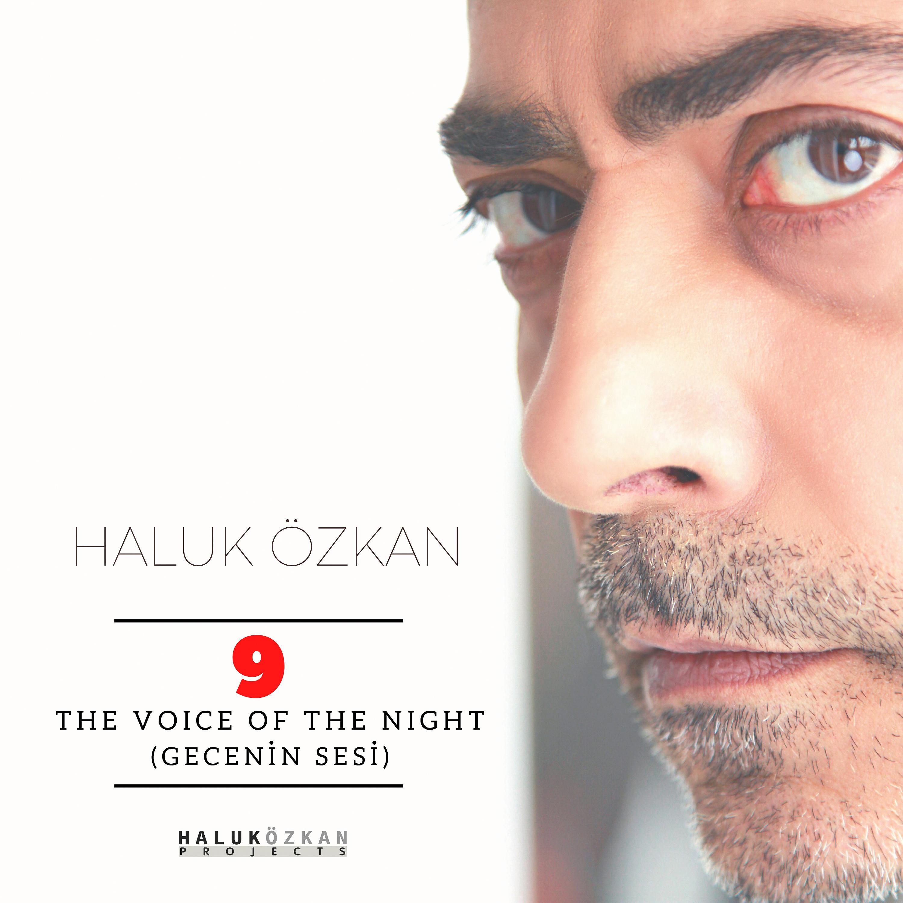 Постер альбома Haluk Özkan, Vol. 9