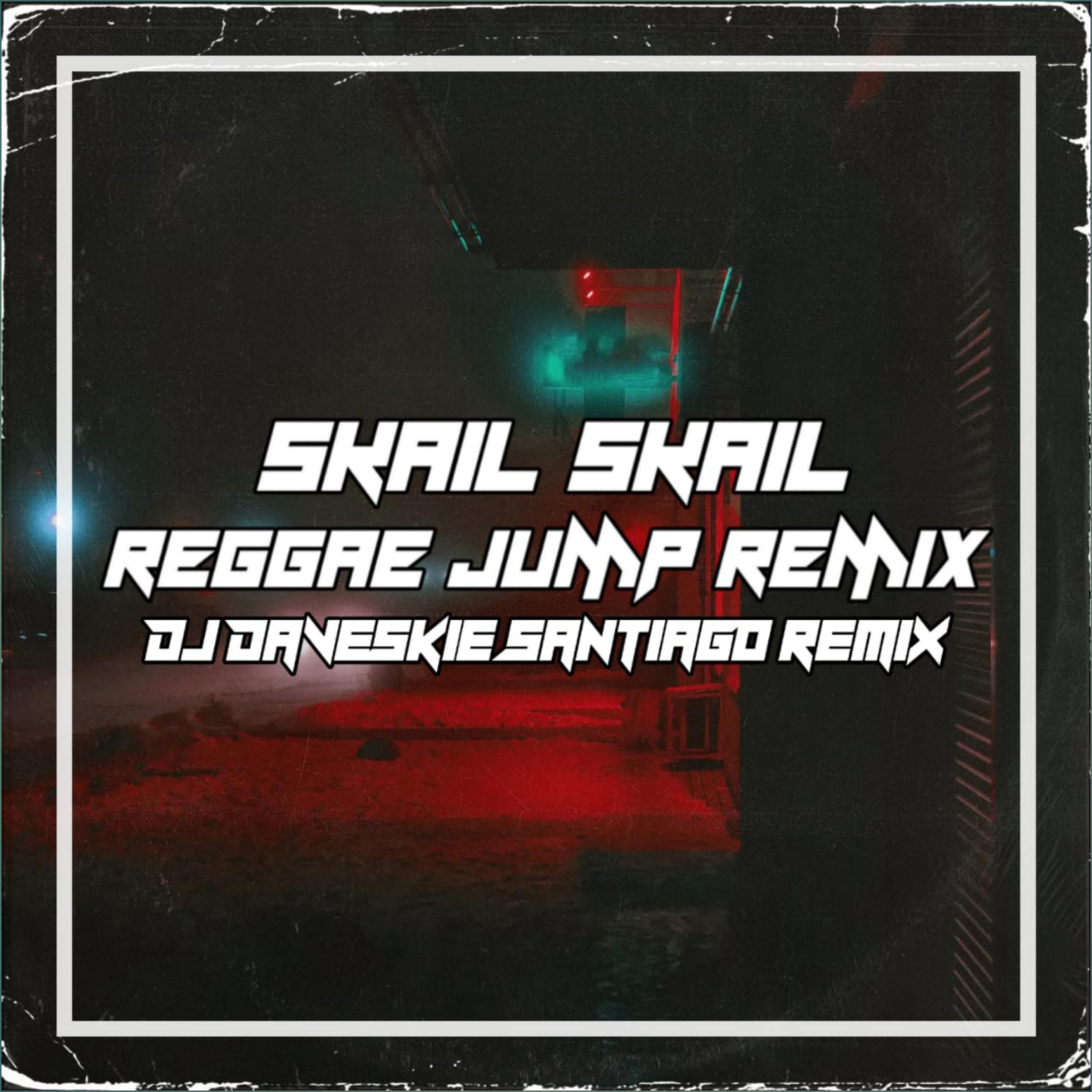 Постер альбома Skail Skail Raggae Jump Remix