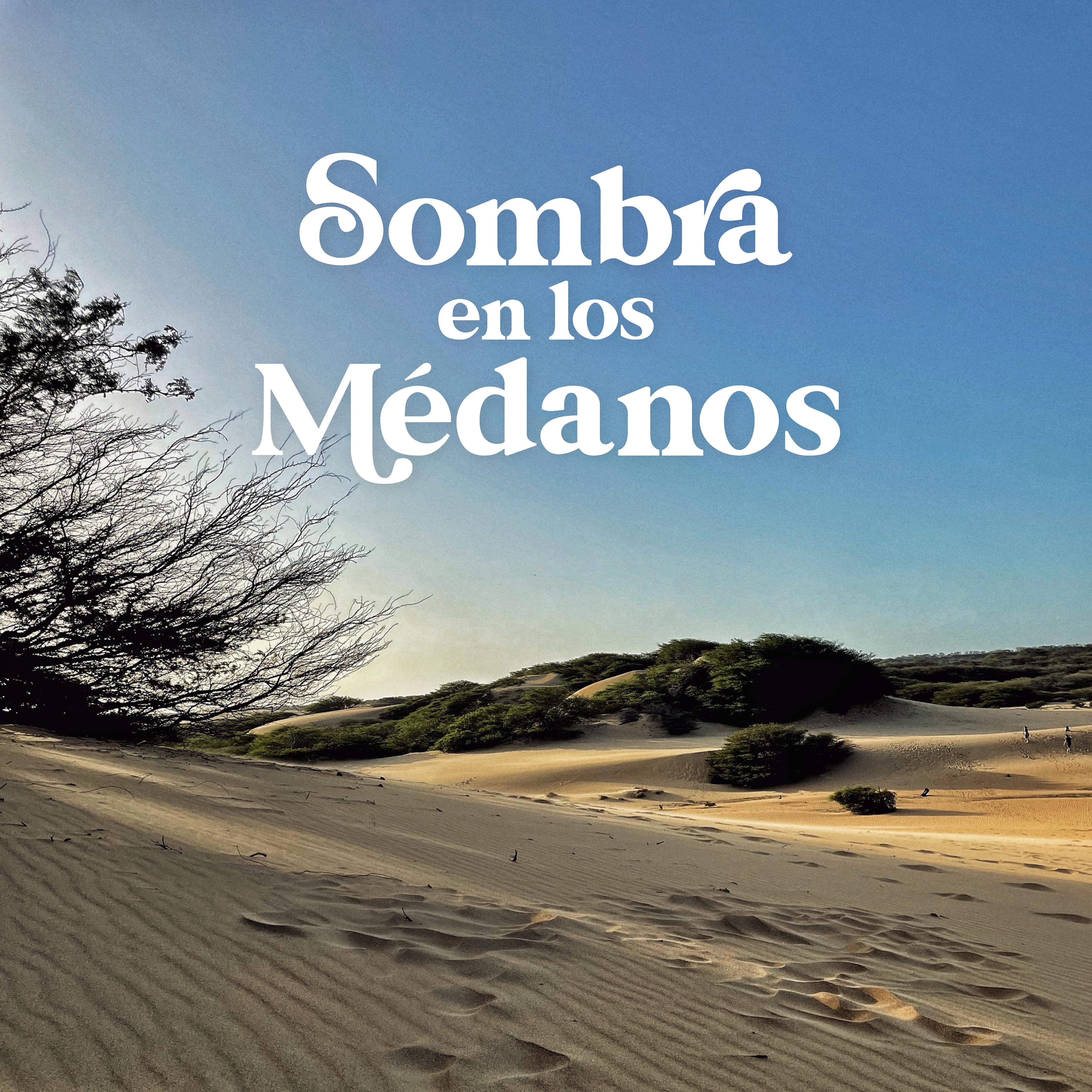 Постер альбома Sombra En Los Medanos