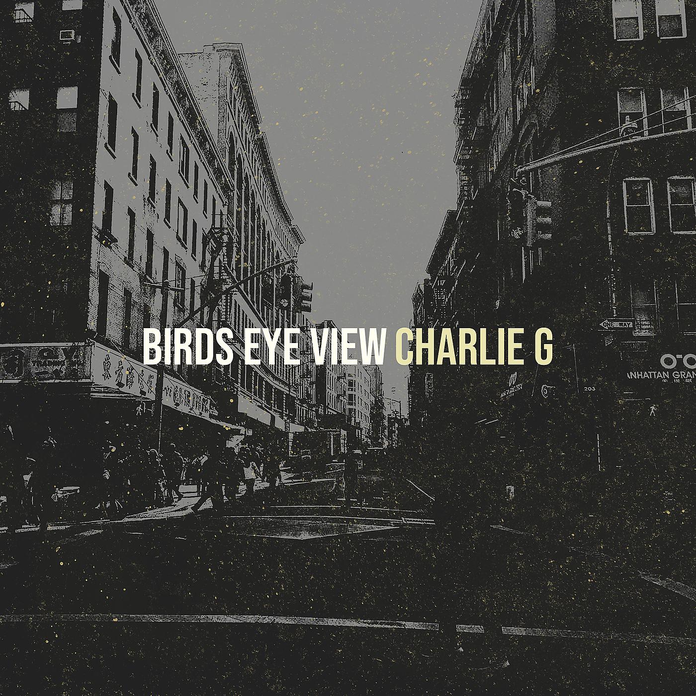 Постер альбома Birds Eye View