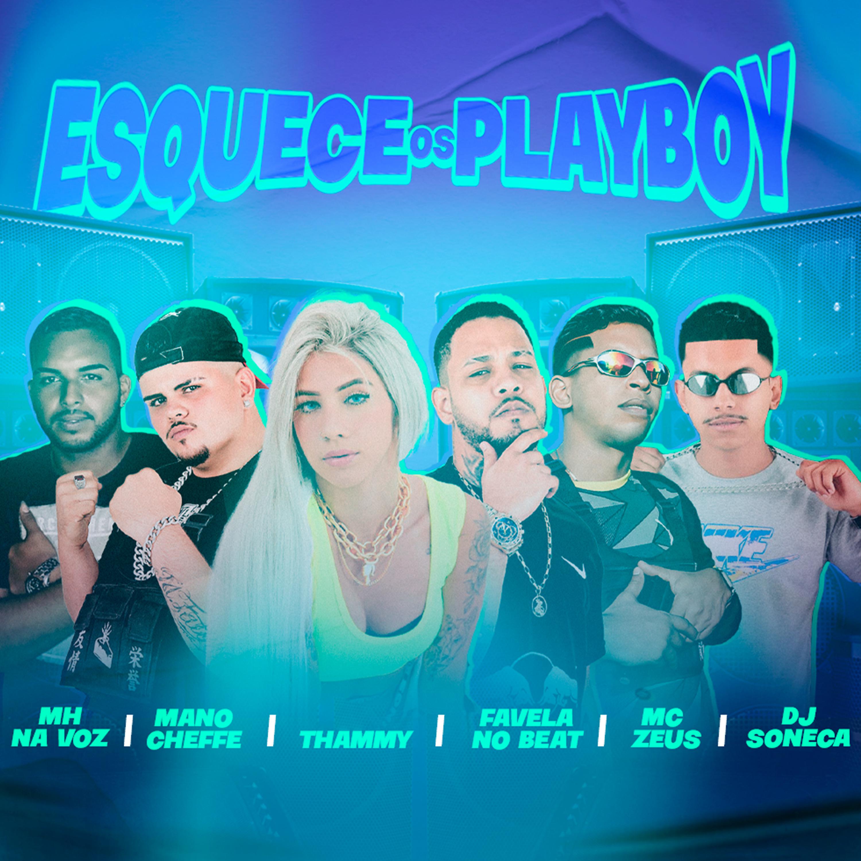 Постер альбома Esquece os Playboy