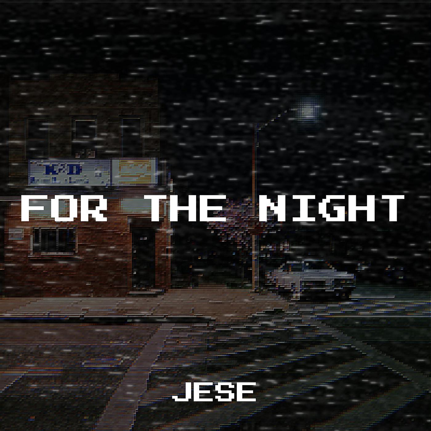 Постер альбома For the Night