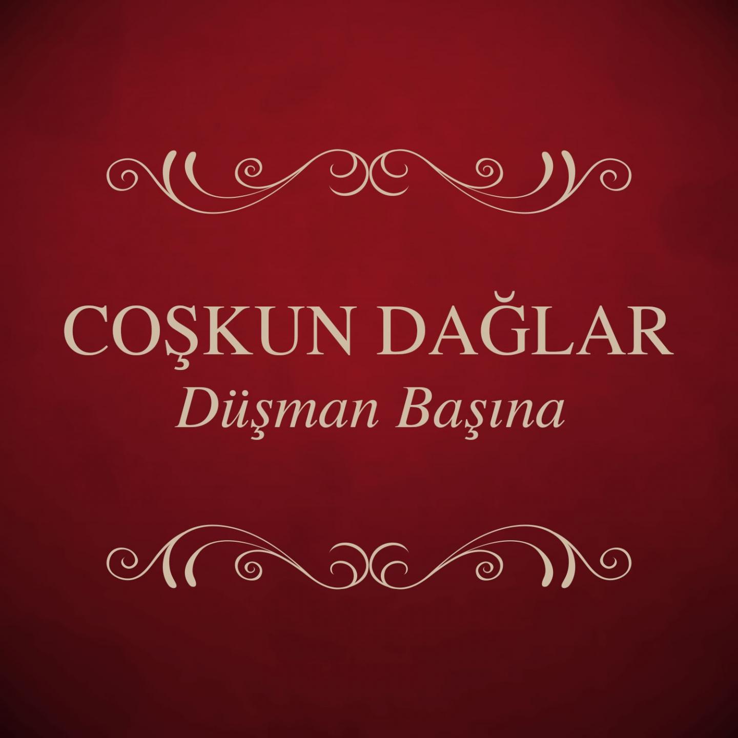 Постер альбома Düşman Başına