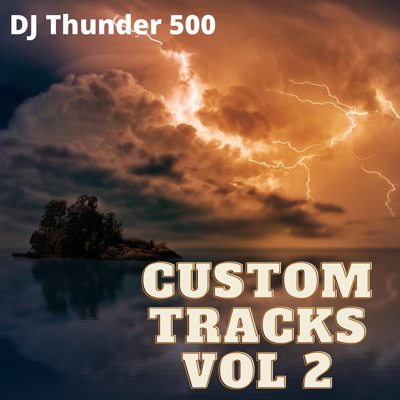 Постер альбома Custom Tracks Vol 2