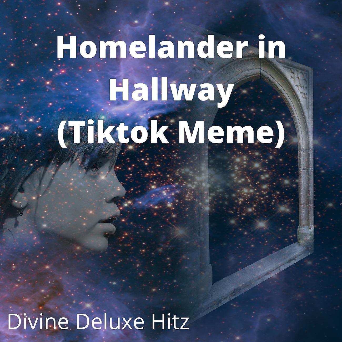 Постер альбома Homelander in Hallway (Tiktok Meme)