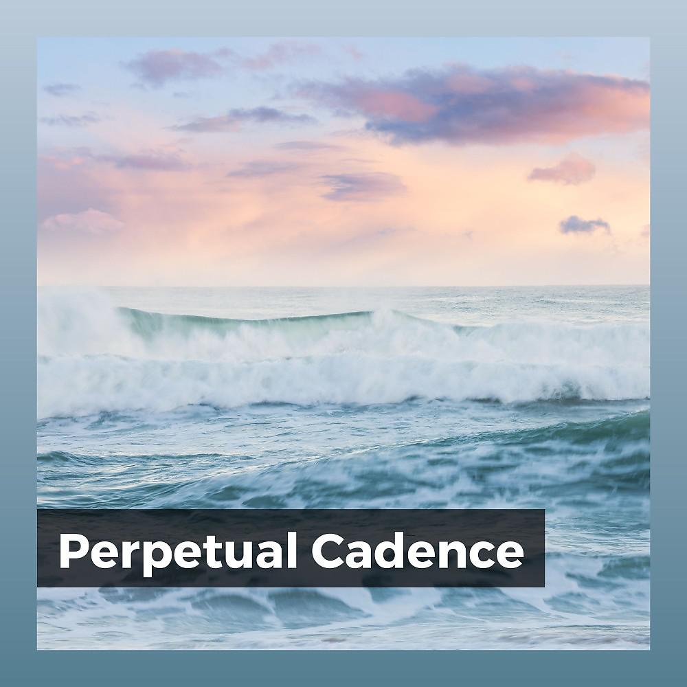Постер альбома Perpetual Cadence
