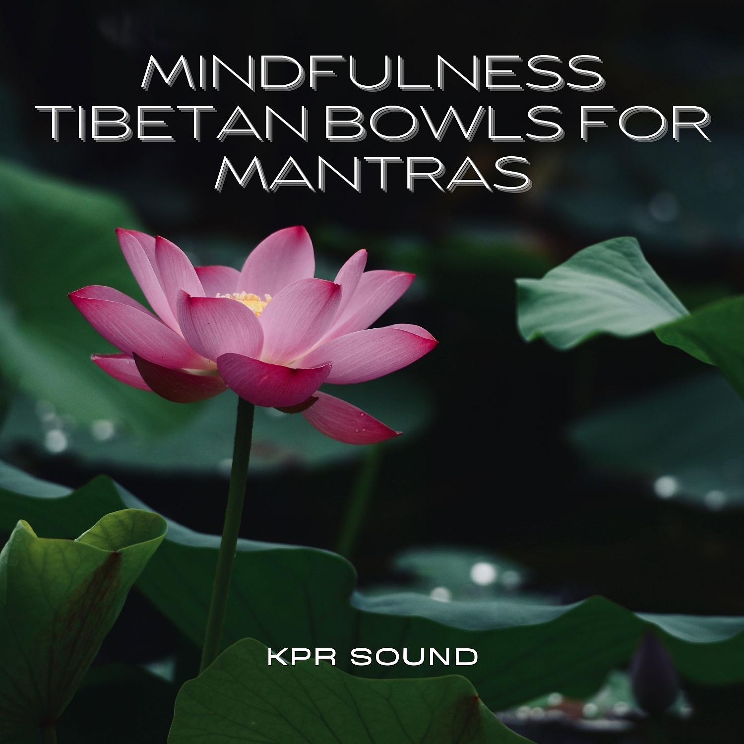 Постер альбома Mindfulness Tibetan Bowls for Mantras