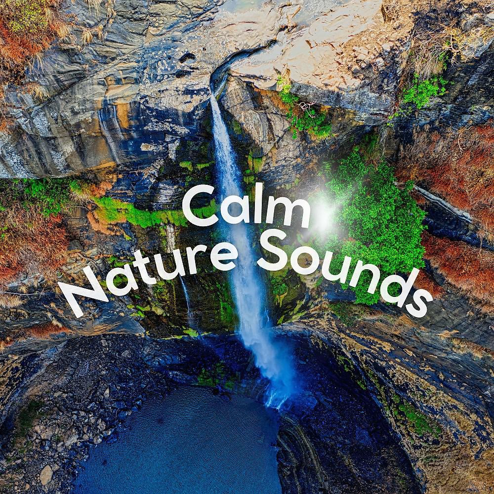 Постер альбома Calm Nature Sounds
