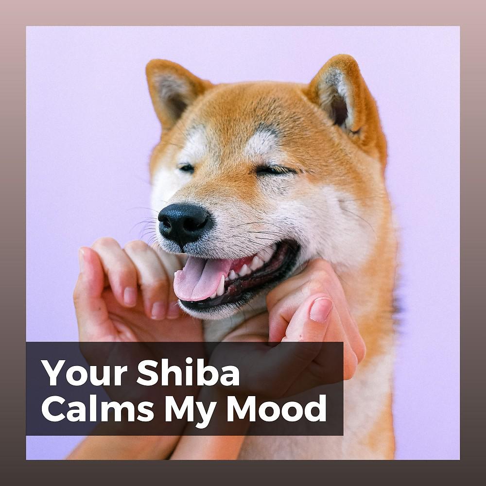 Постер альбома Your Shiba Calms My Mood