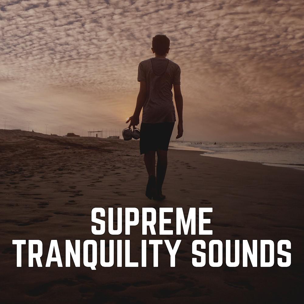 Постер альбома Supreme Tranquility Sounds