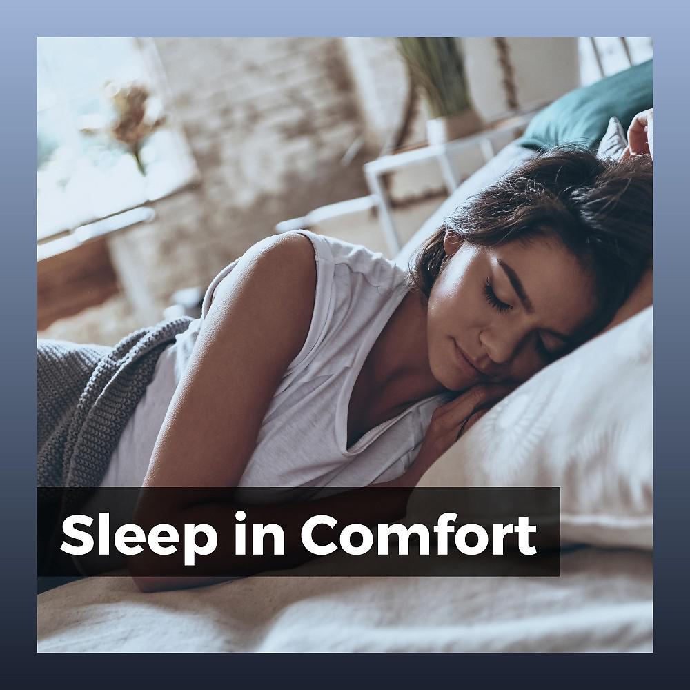 Постер альбома Sleep in Comfort