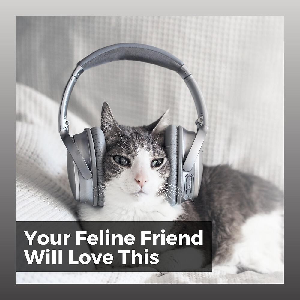 Music For Cats Peace - A Cat's Fave Sound Track
