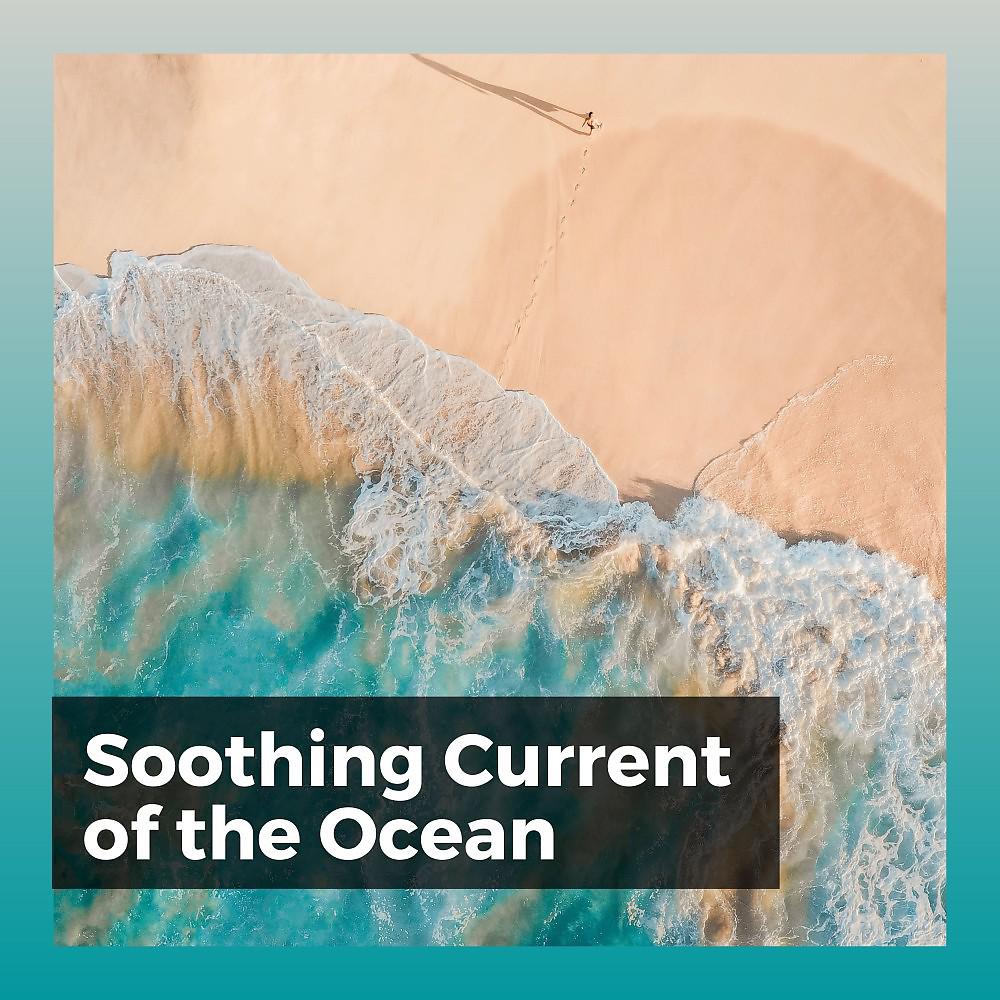 Постер альбома Soothing Current of the Ocean