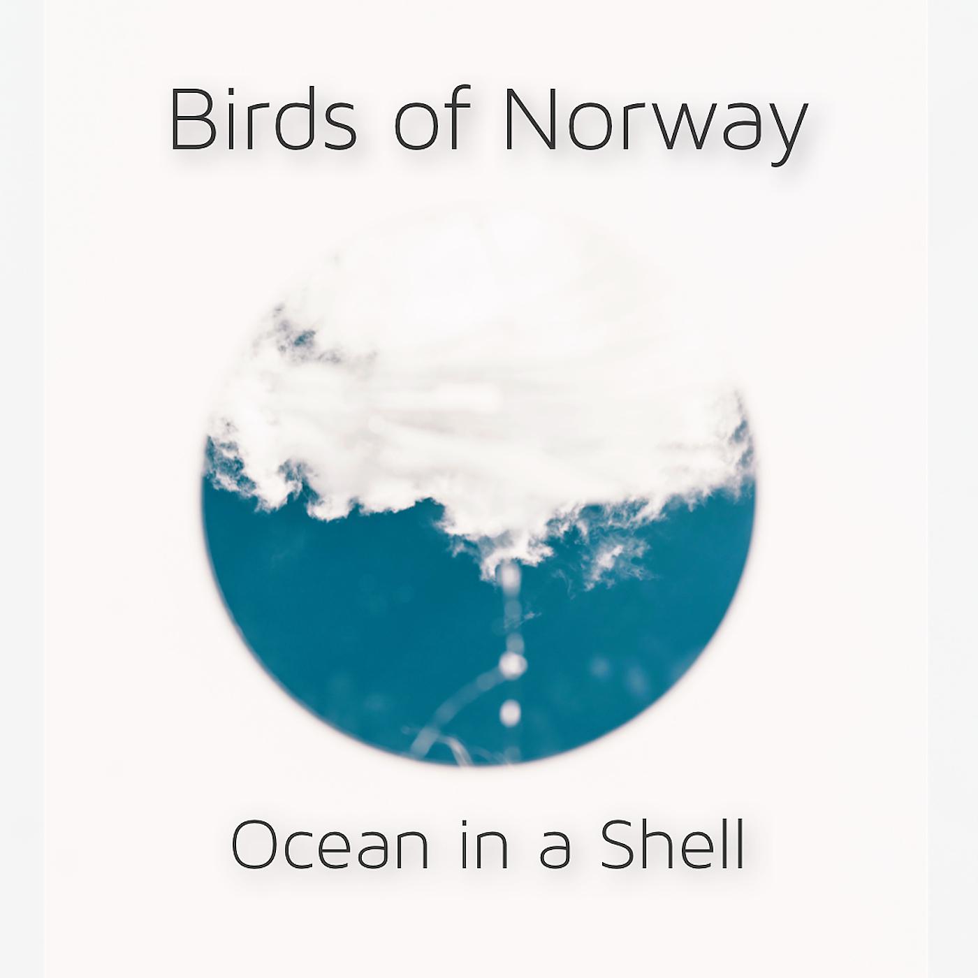 Постер альбома Ocean in a Shell