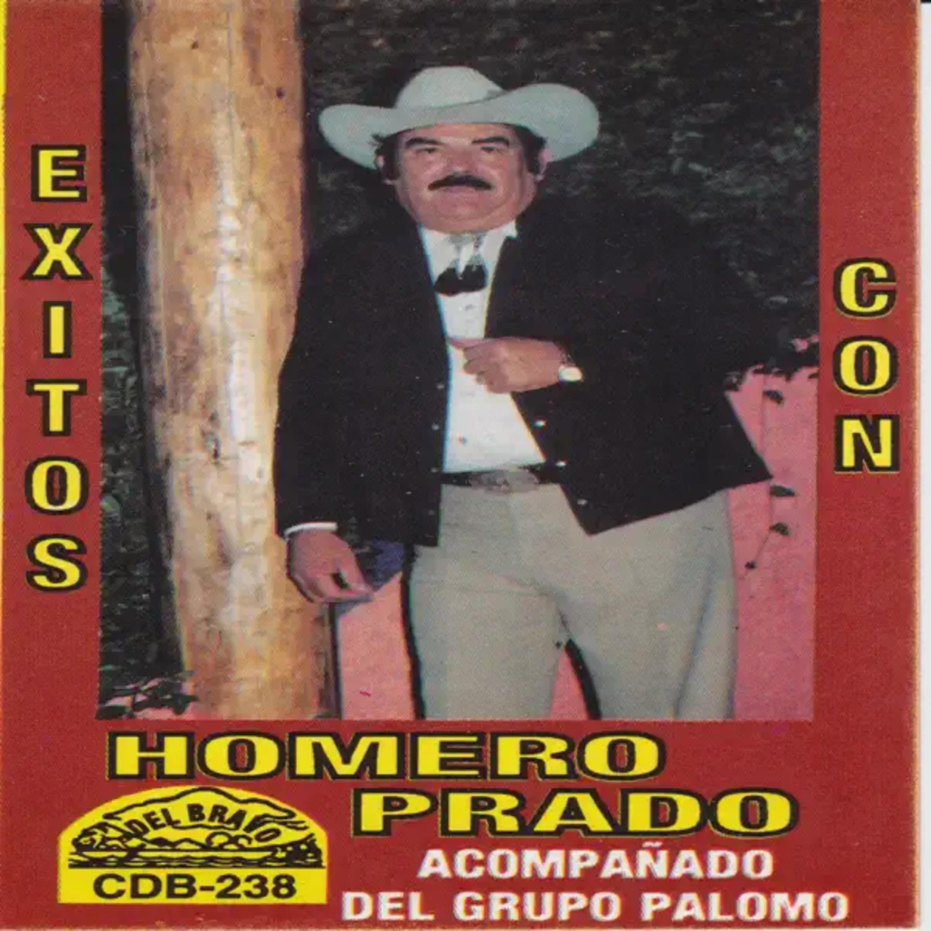 Постер альбома Exitos Con Homero Prado