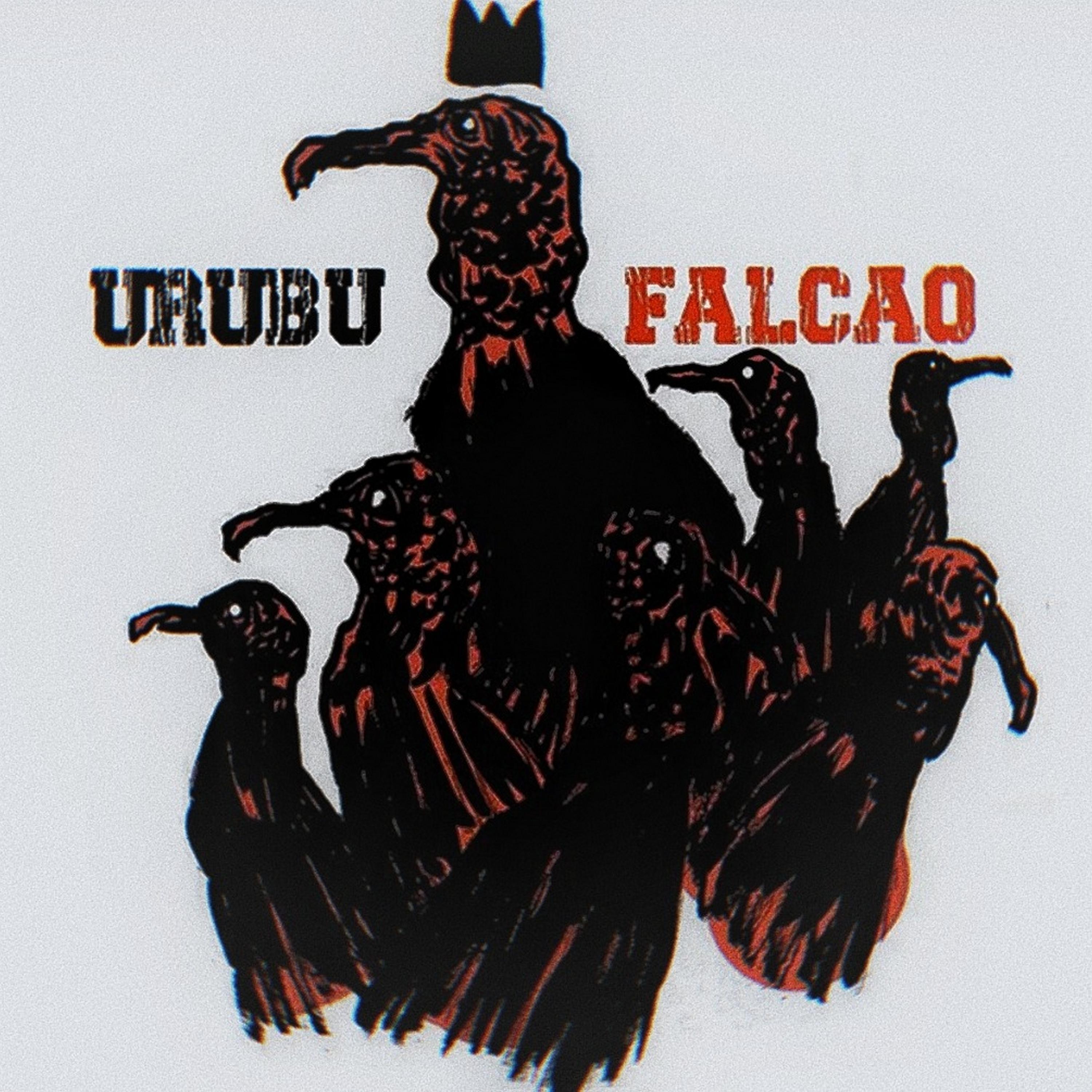 Постер альбома Urubu Falcão