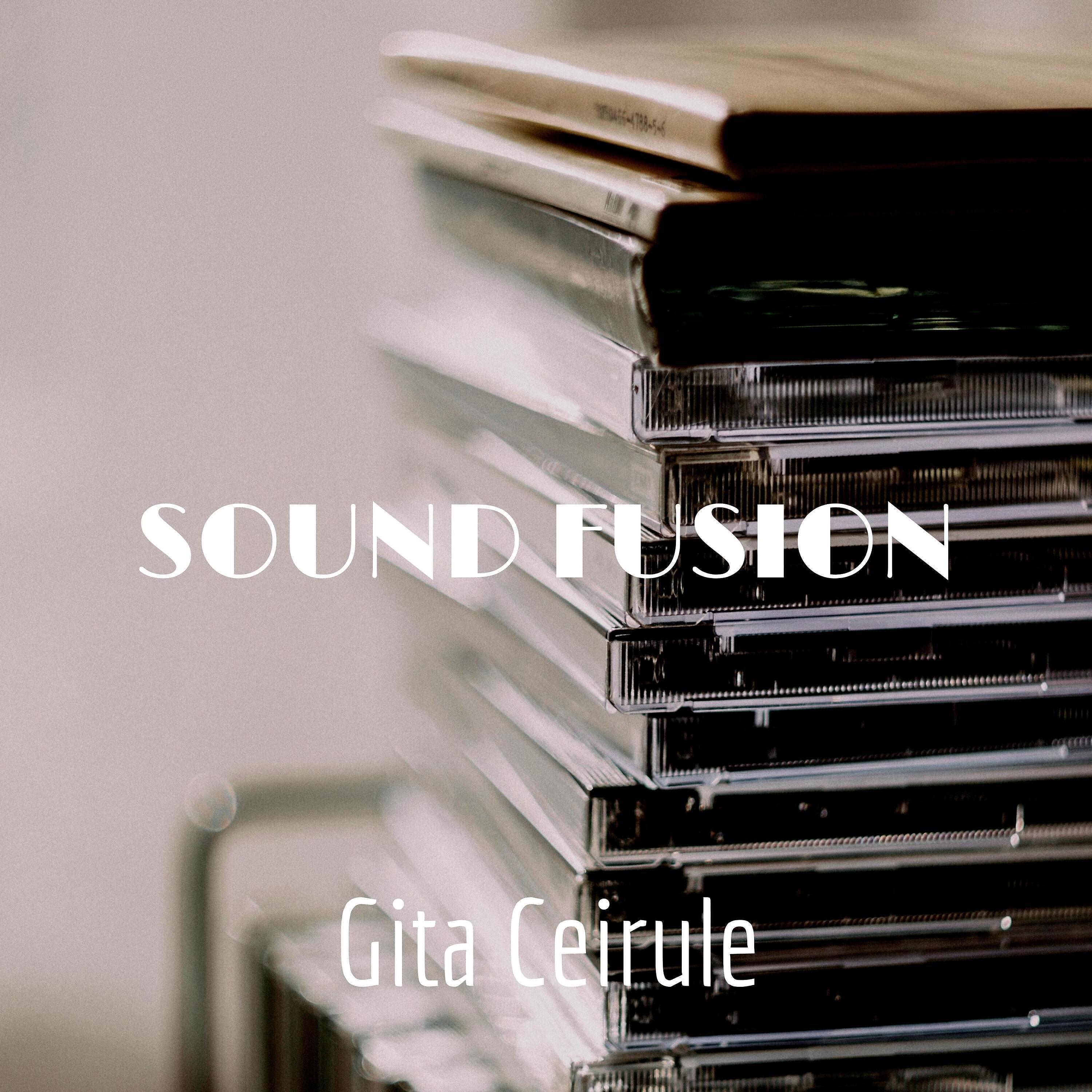 Постер альбома Sound Fusion