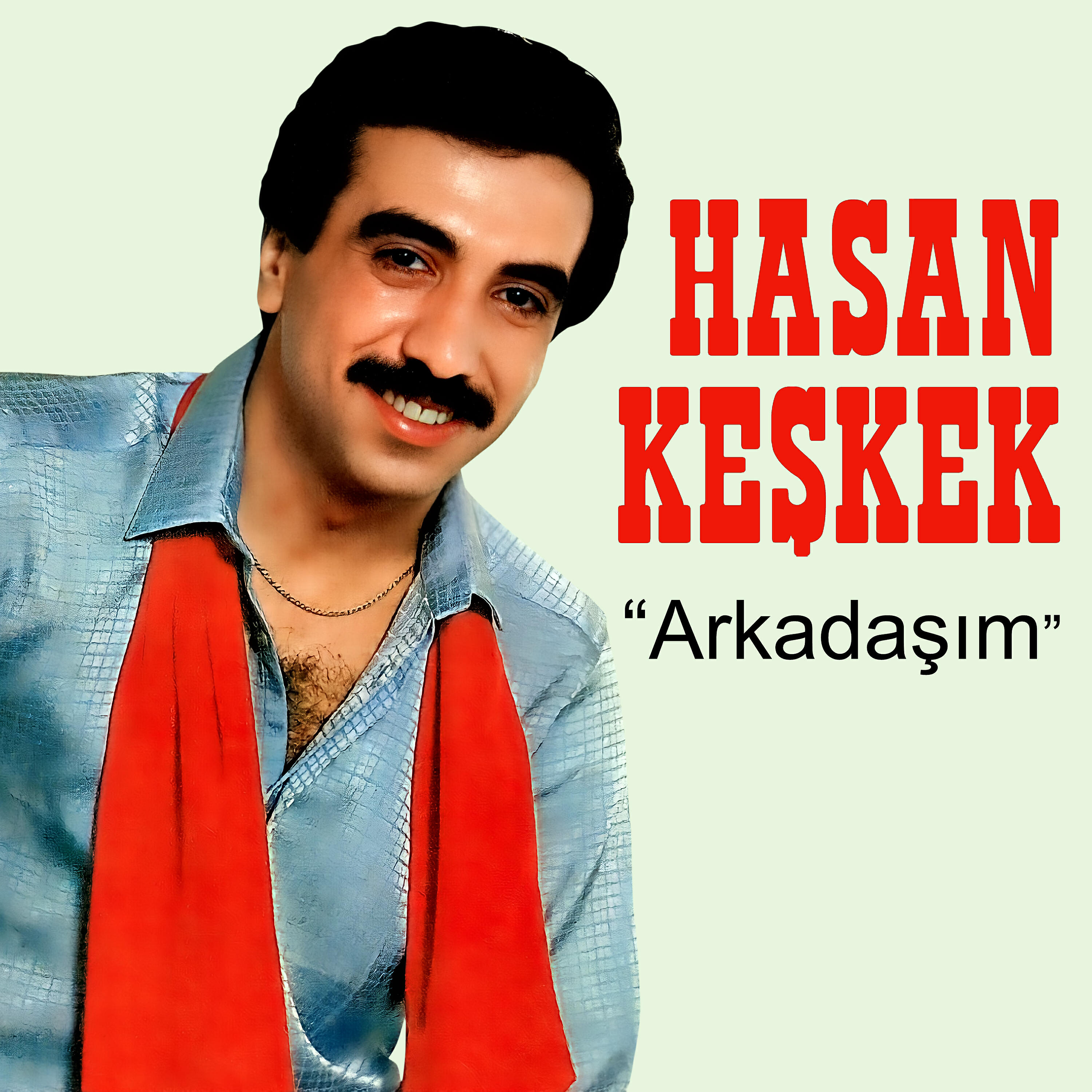 Hasan Keşkek - Bırak Gitsin