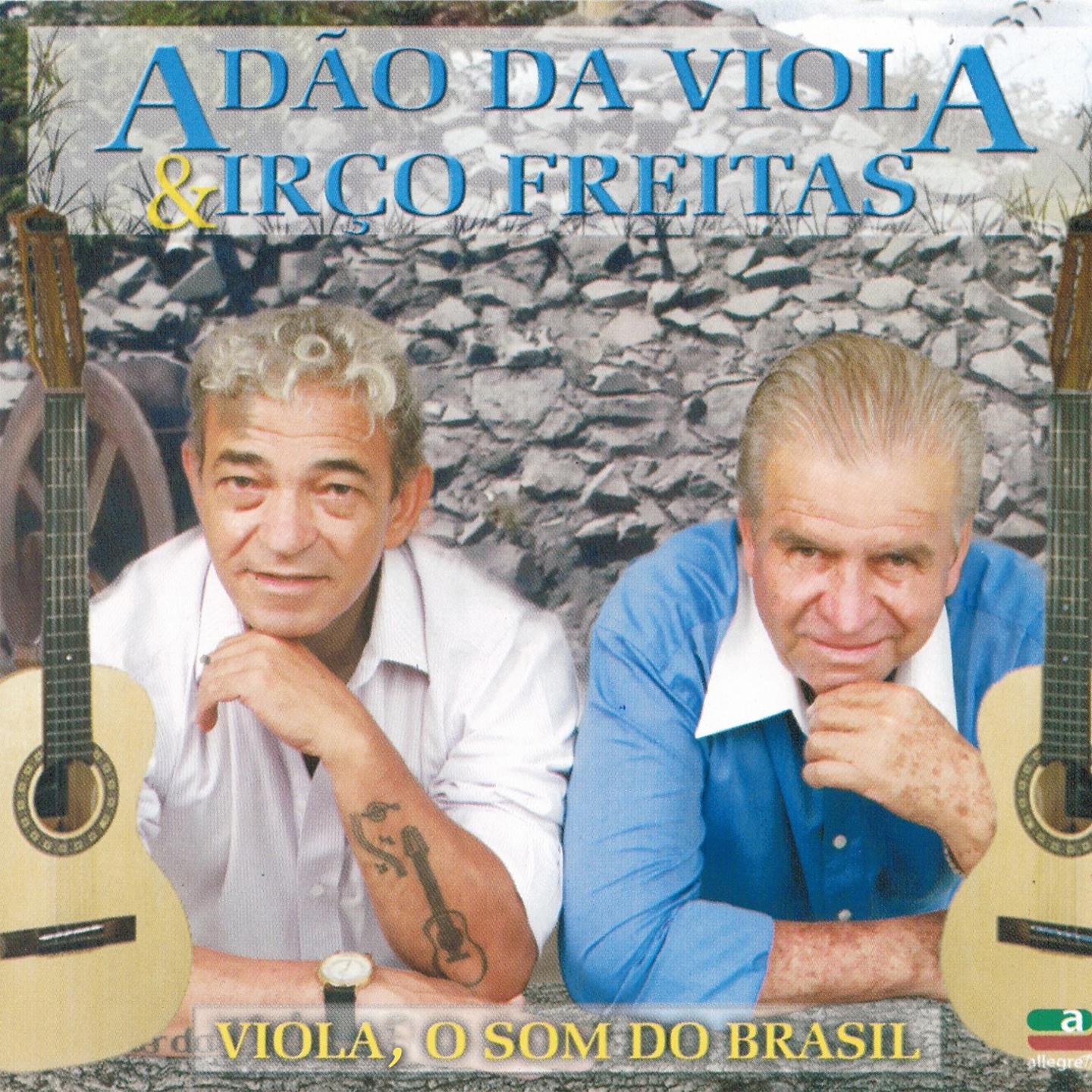 Постер альбома Viola, O Som do Brasil