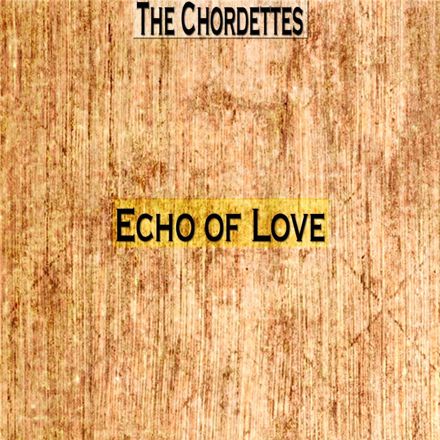 Постер альбома Echo of Love