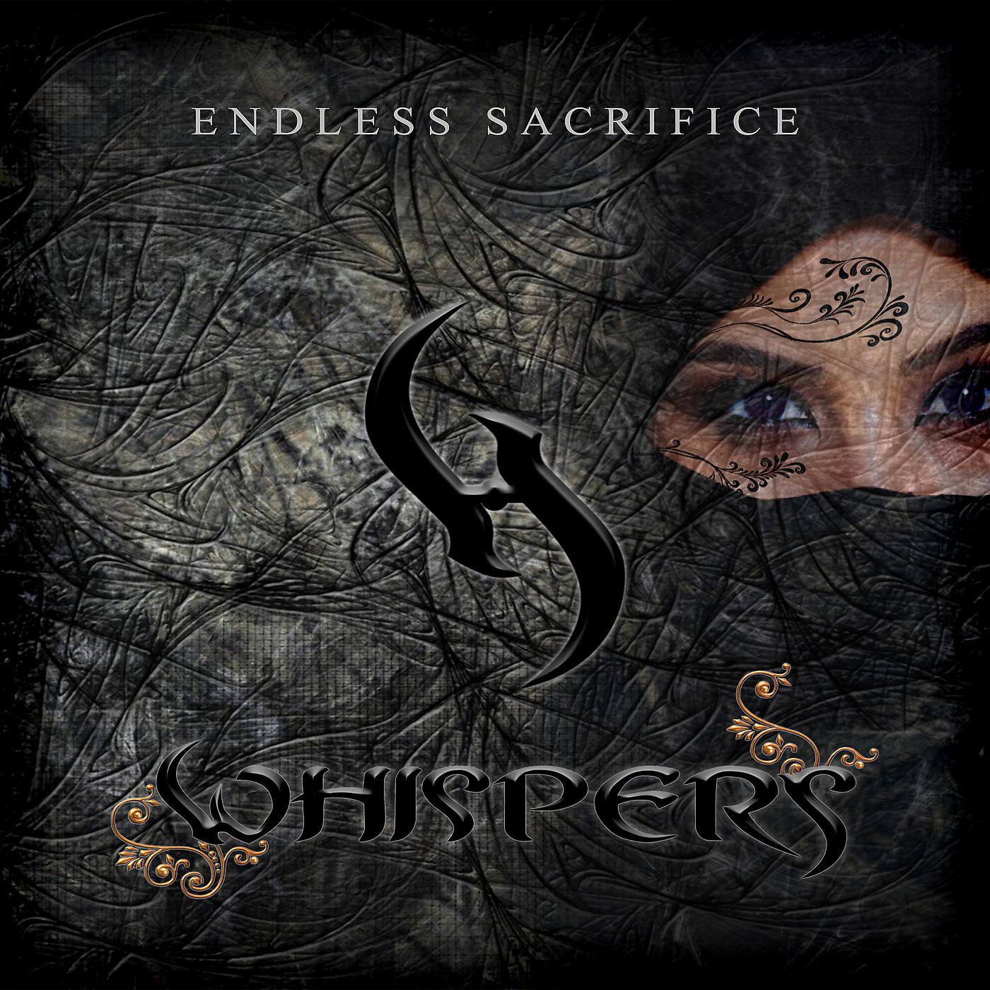 Постер альбома Endless Sacrifice