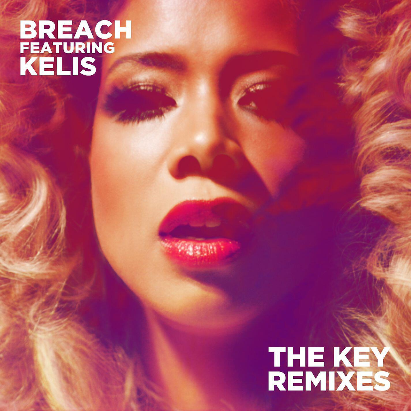 Breach - The Key (feat. Kelis) [Dub Phizix Remix]