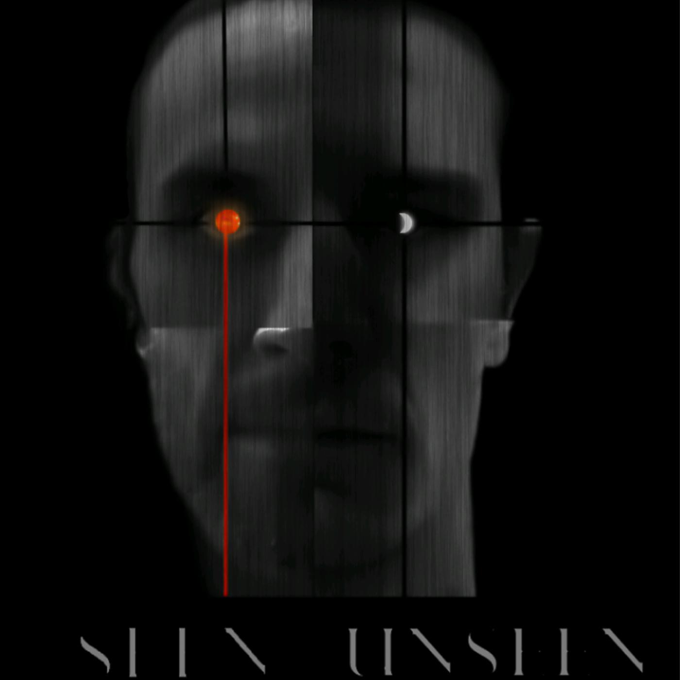 Постер альбома Seen/Unseen