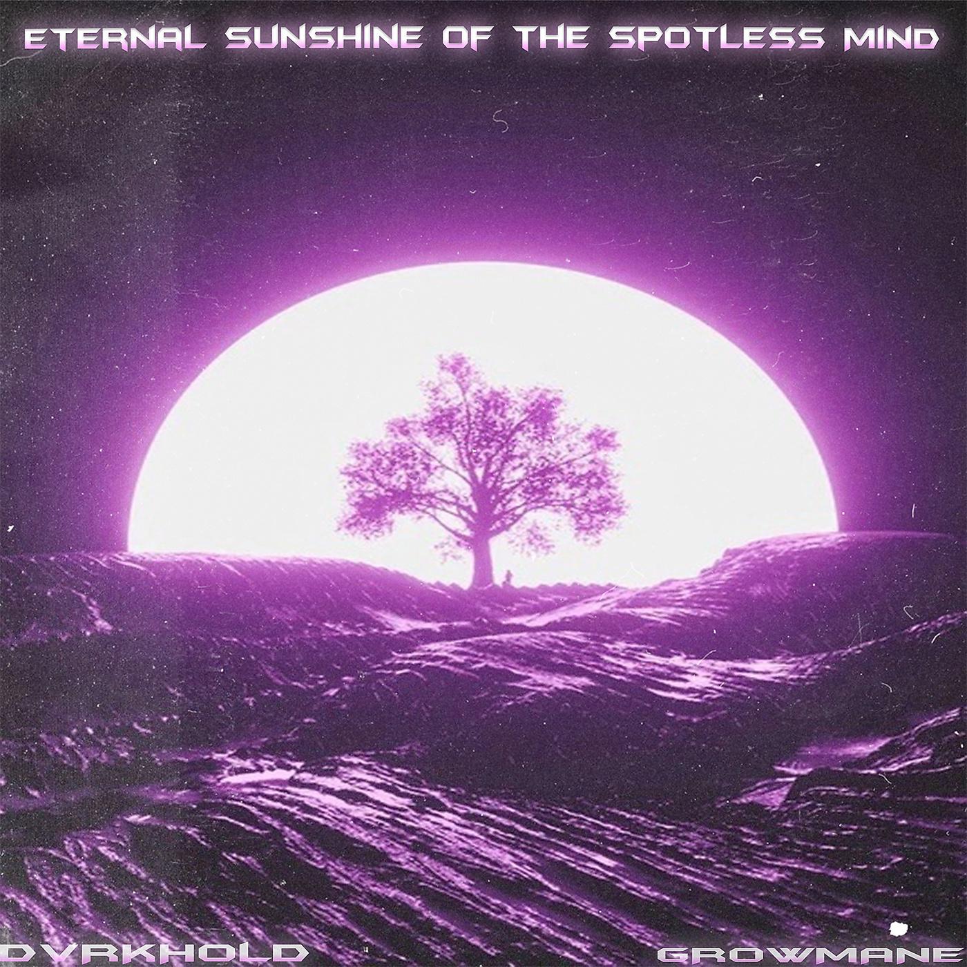 Постер альбома Eternal Sunshine of the Spotless Mind