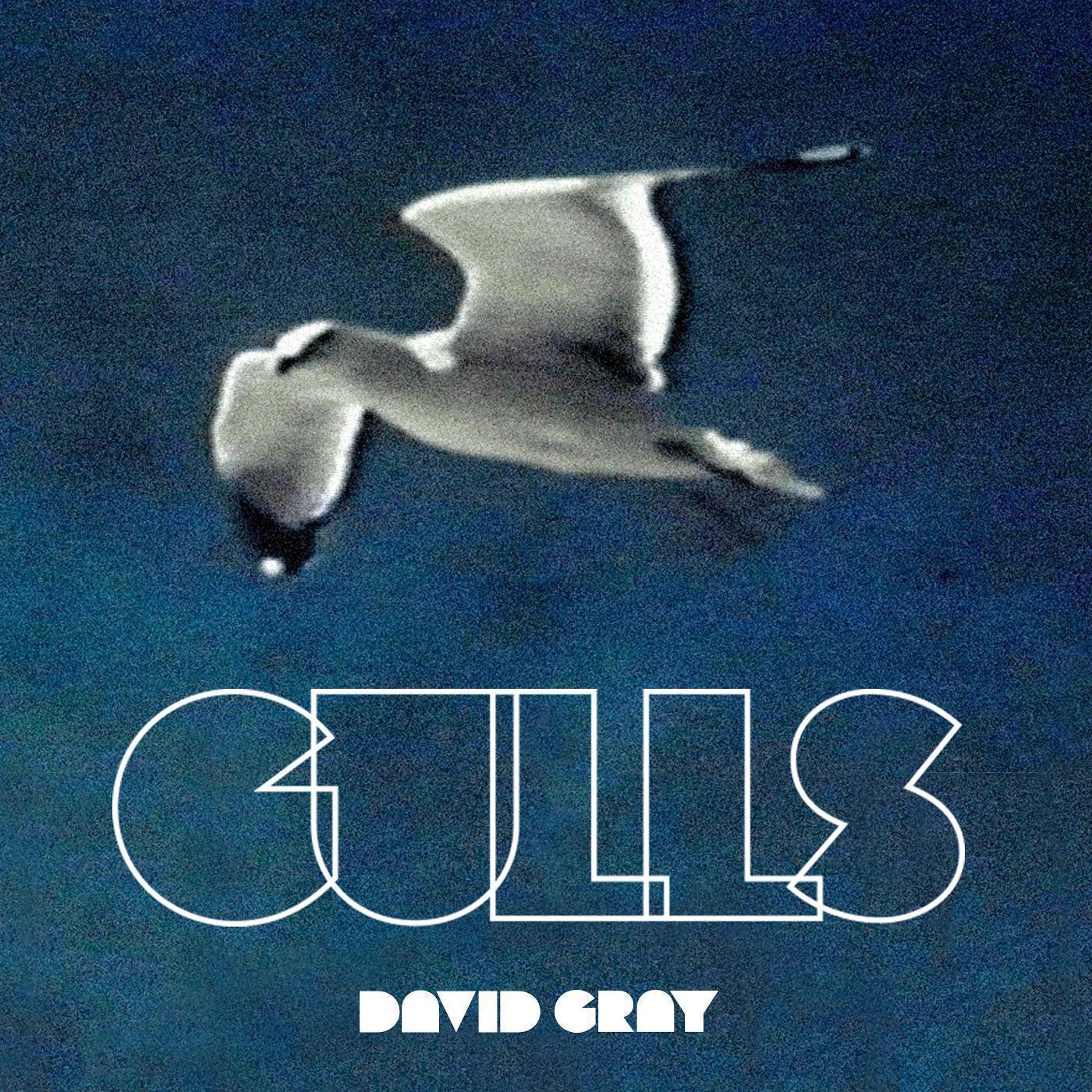 Постер альбома Gulls