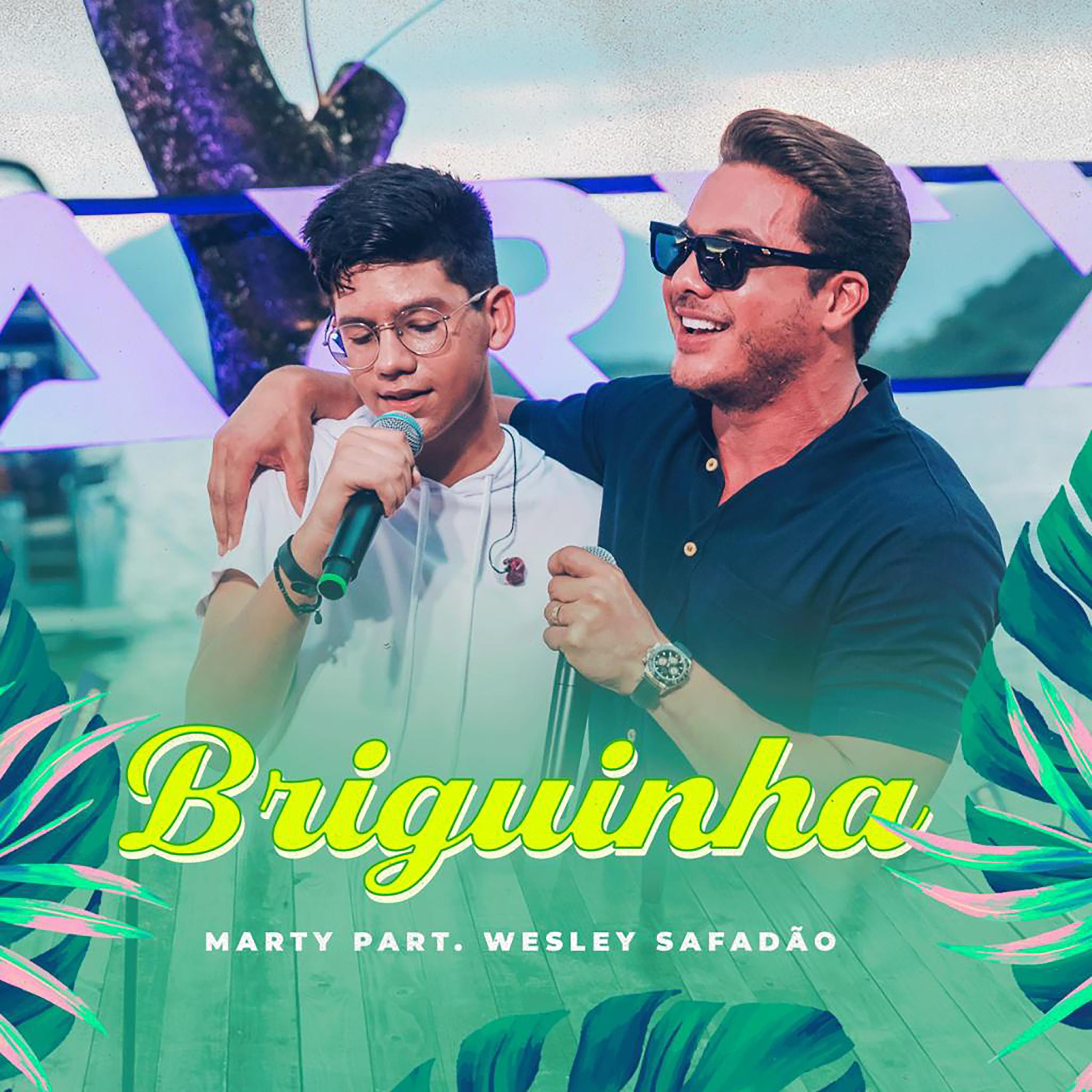 Постер альбома Briguinha