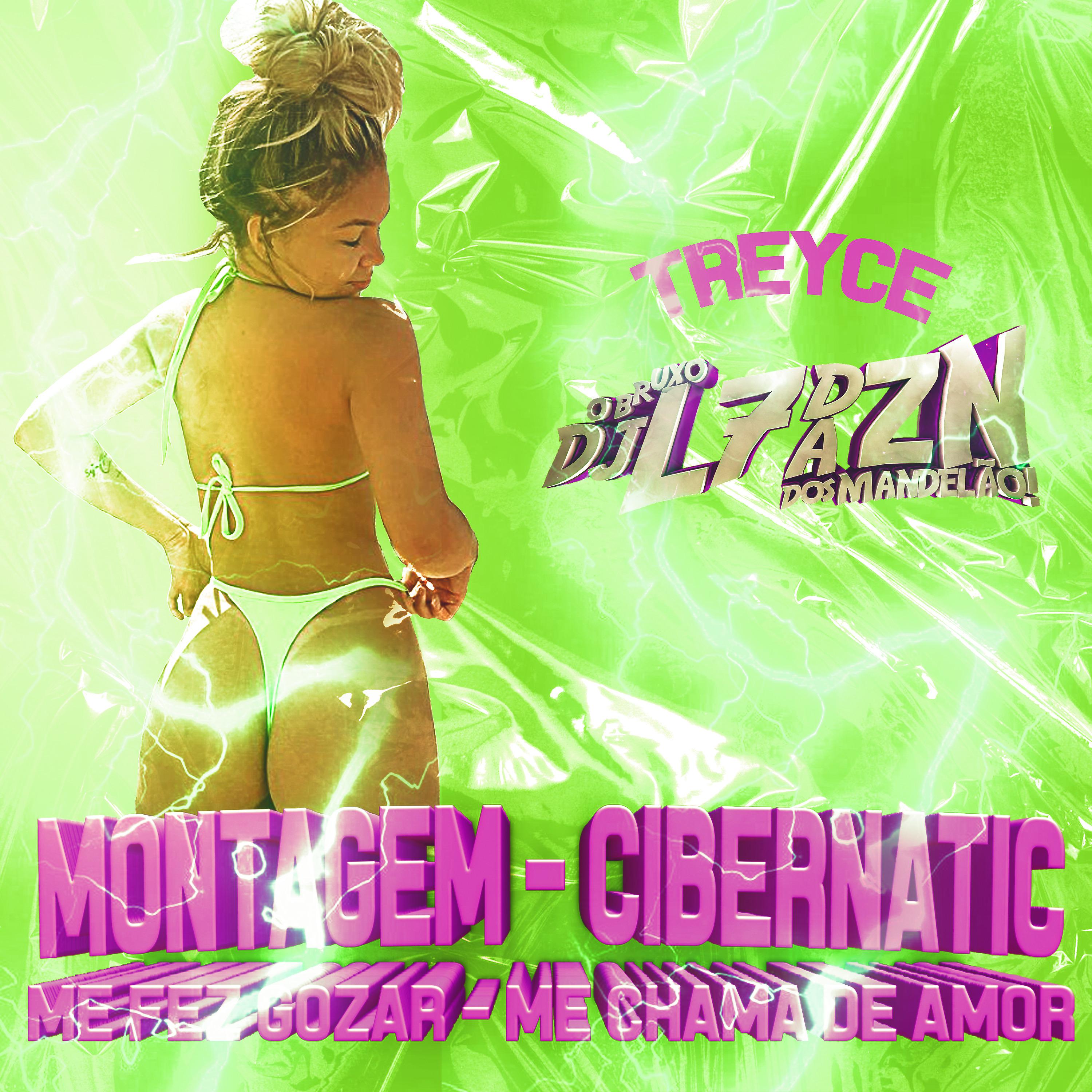 Постер альбома Montagem Cibernatic - Me Fez Gozar Me Chama de Amor
