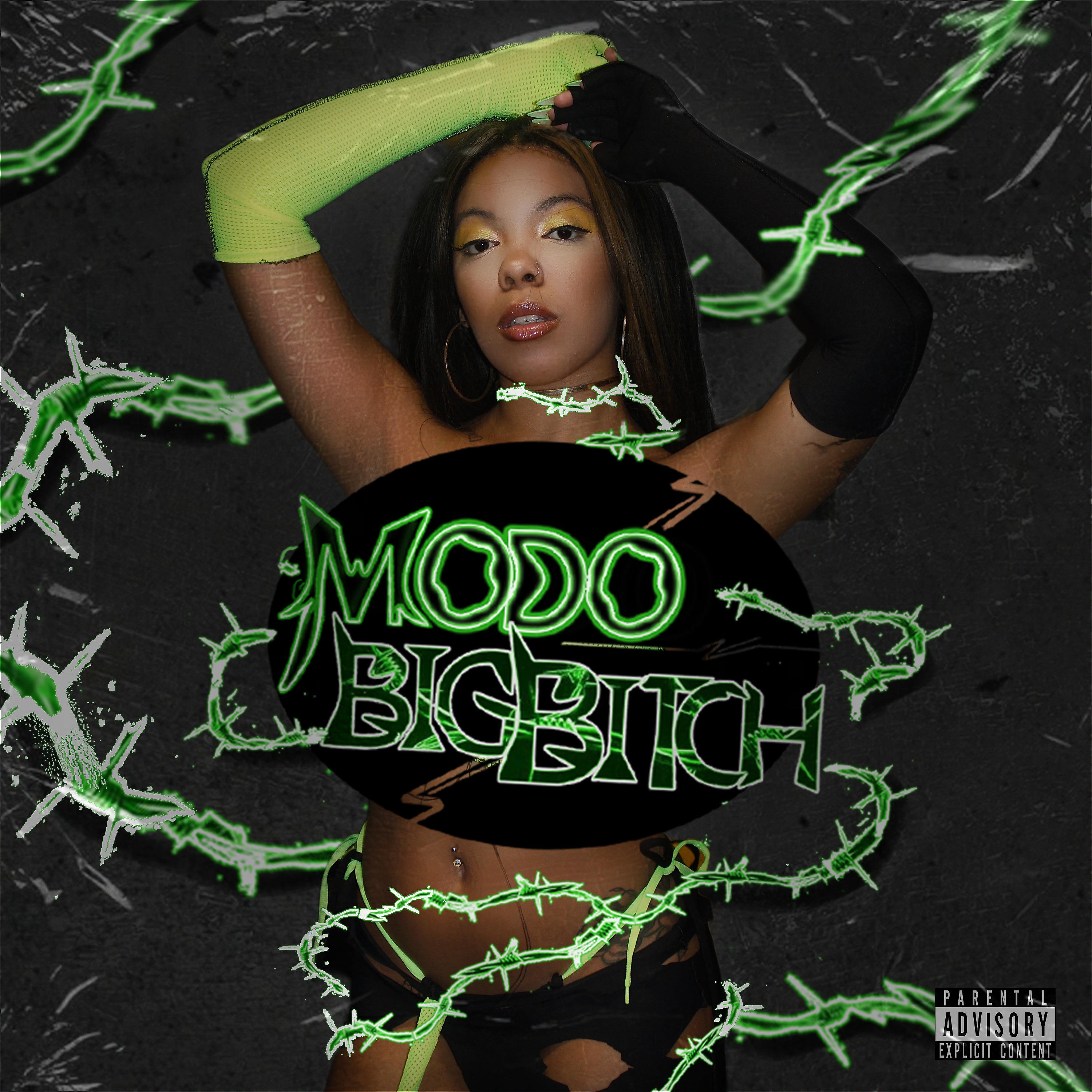 Постер альбома Modo Big Bitch