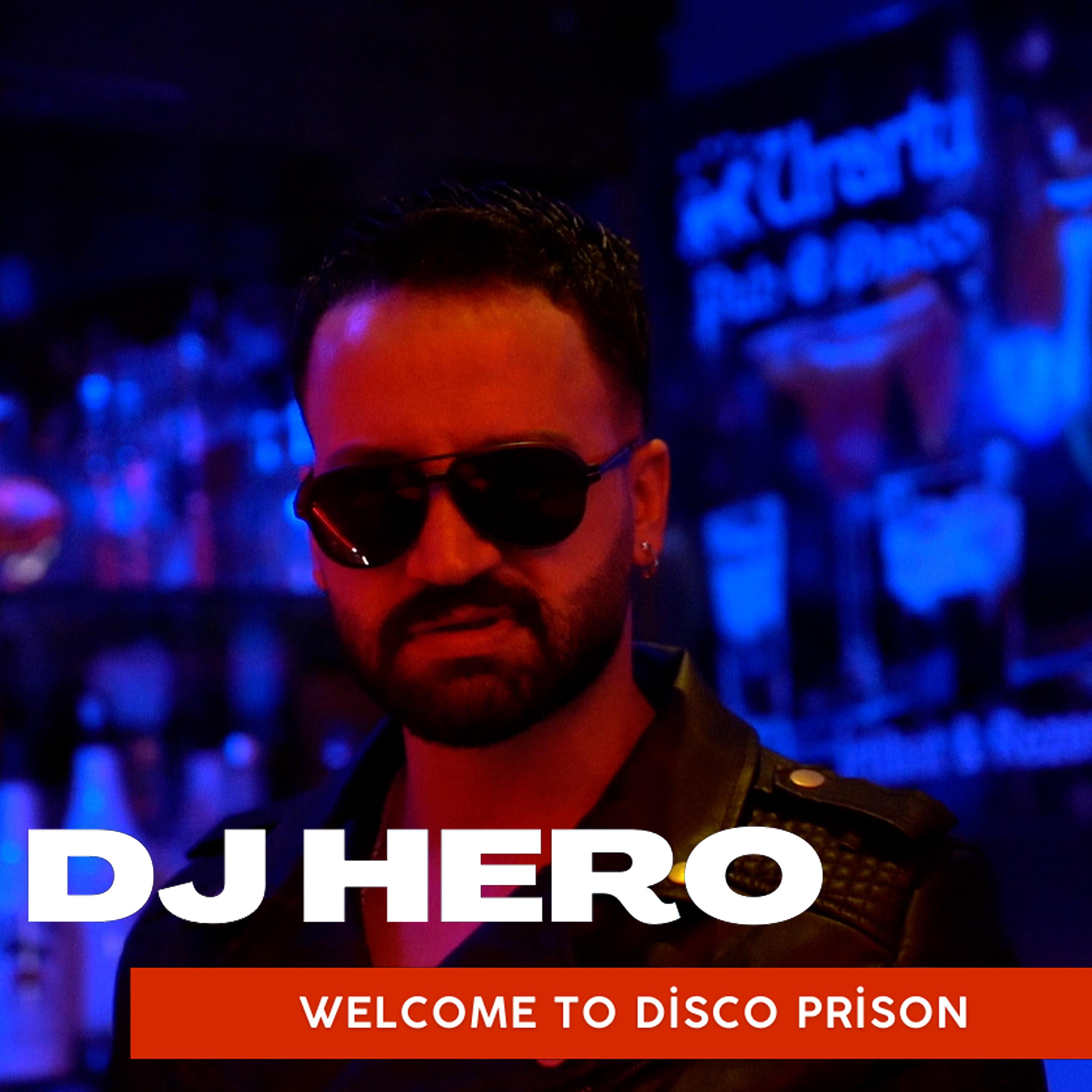Постер альбома Welcome To Disco Prison