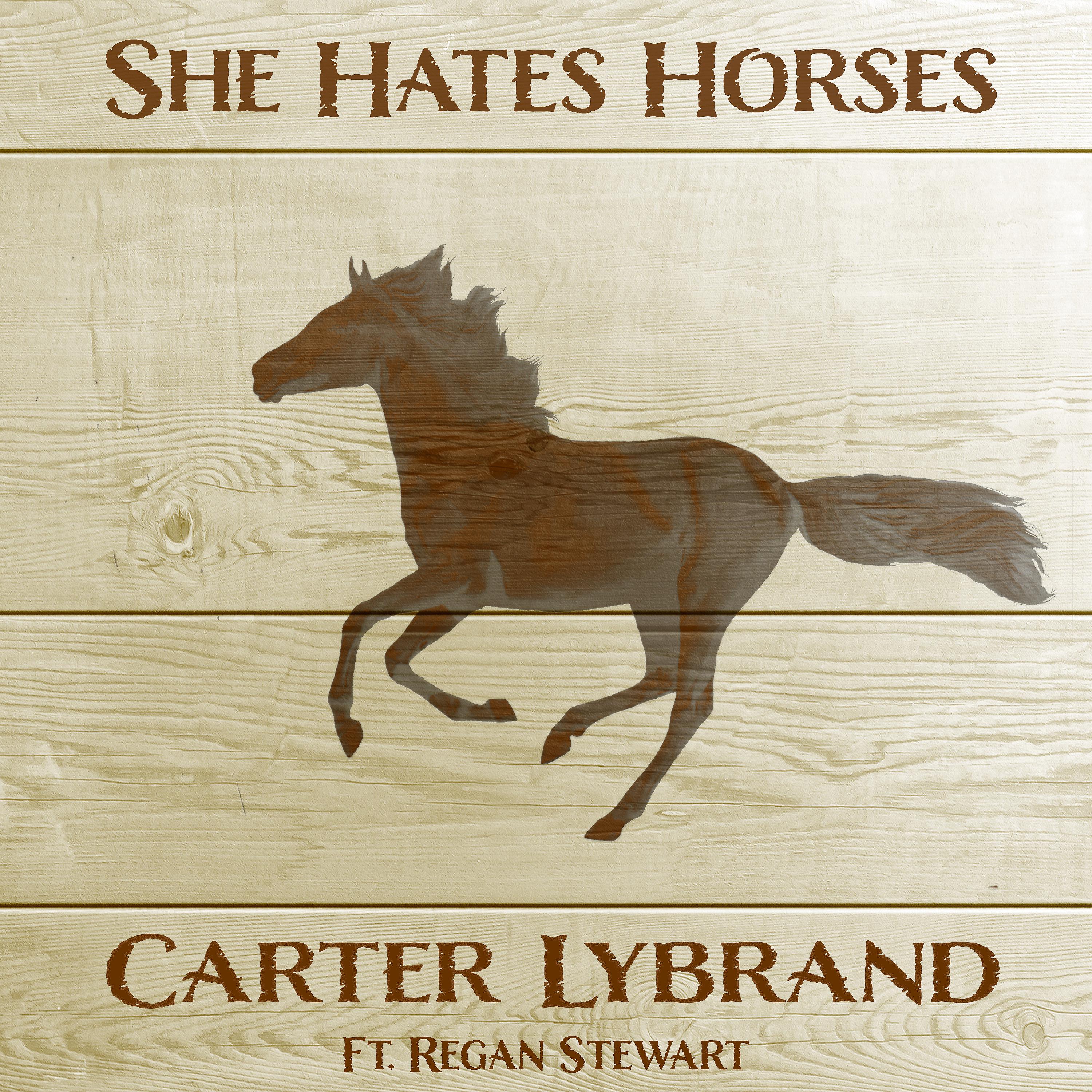 Постер альбома She Hates Horses