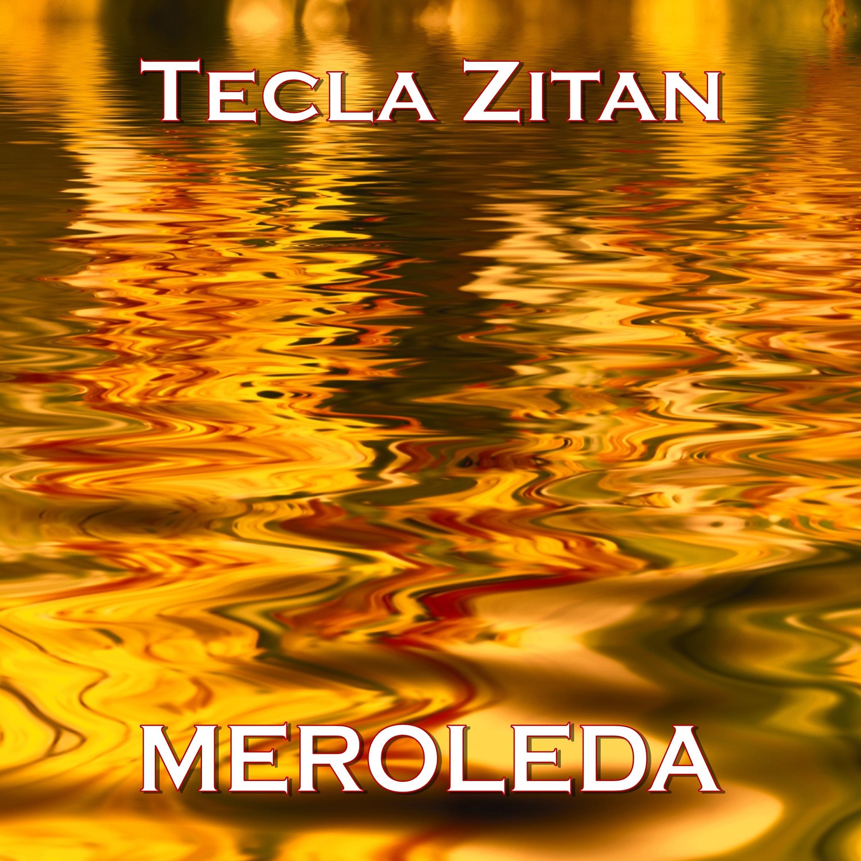 Постер альбома Meroleda