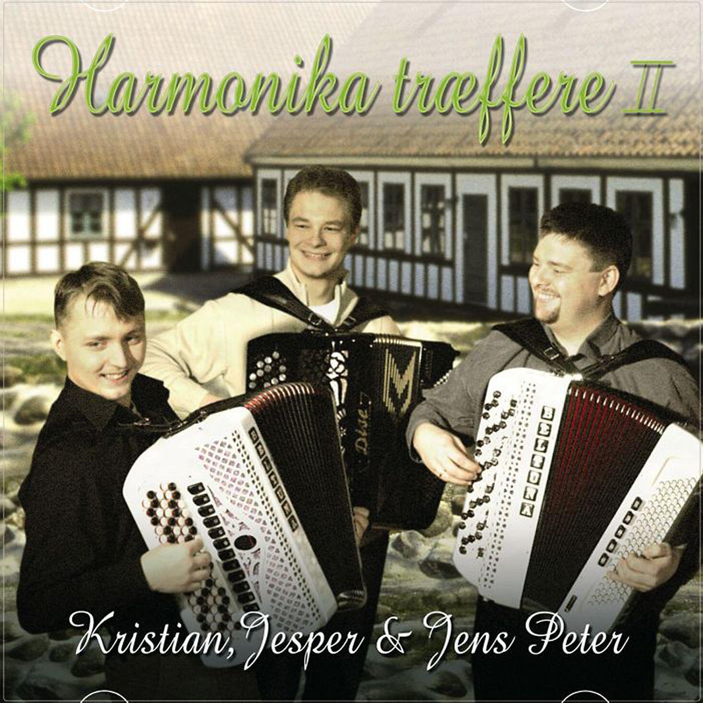 Постер альбома Harmonika Træffere II