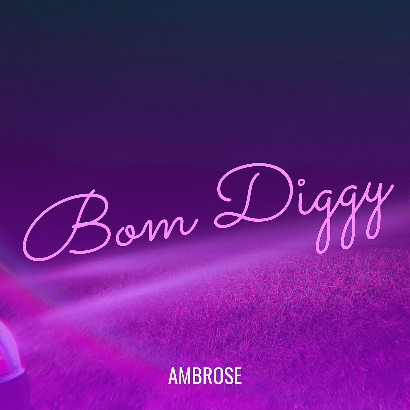 Постер альбома Bom Diggy