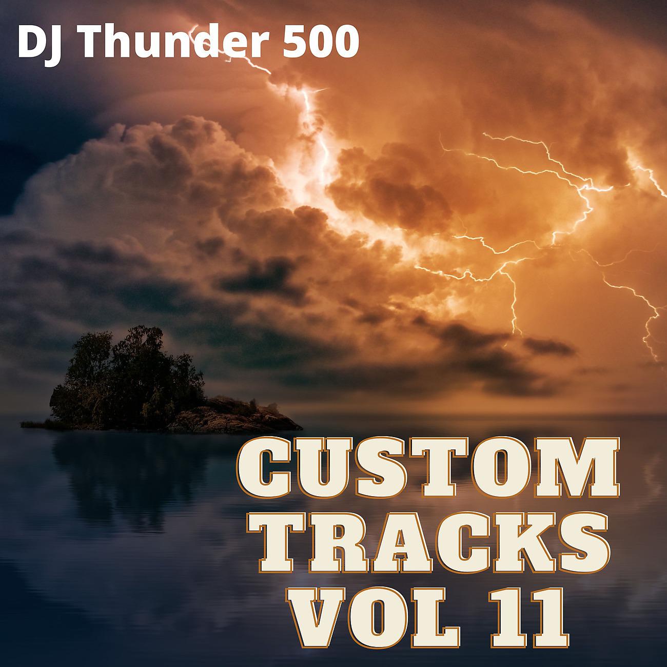 Постер альбома Custom Tracks Vol 11