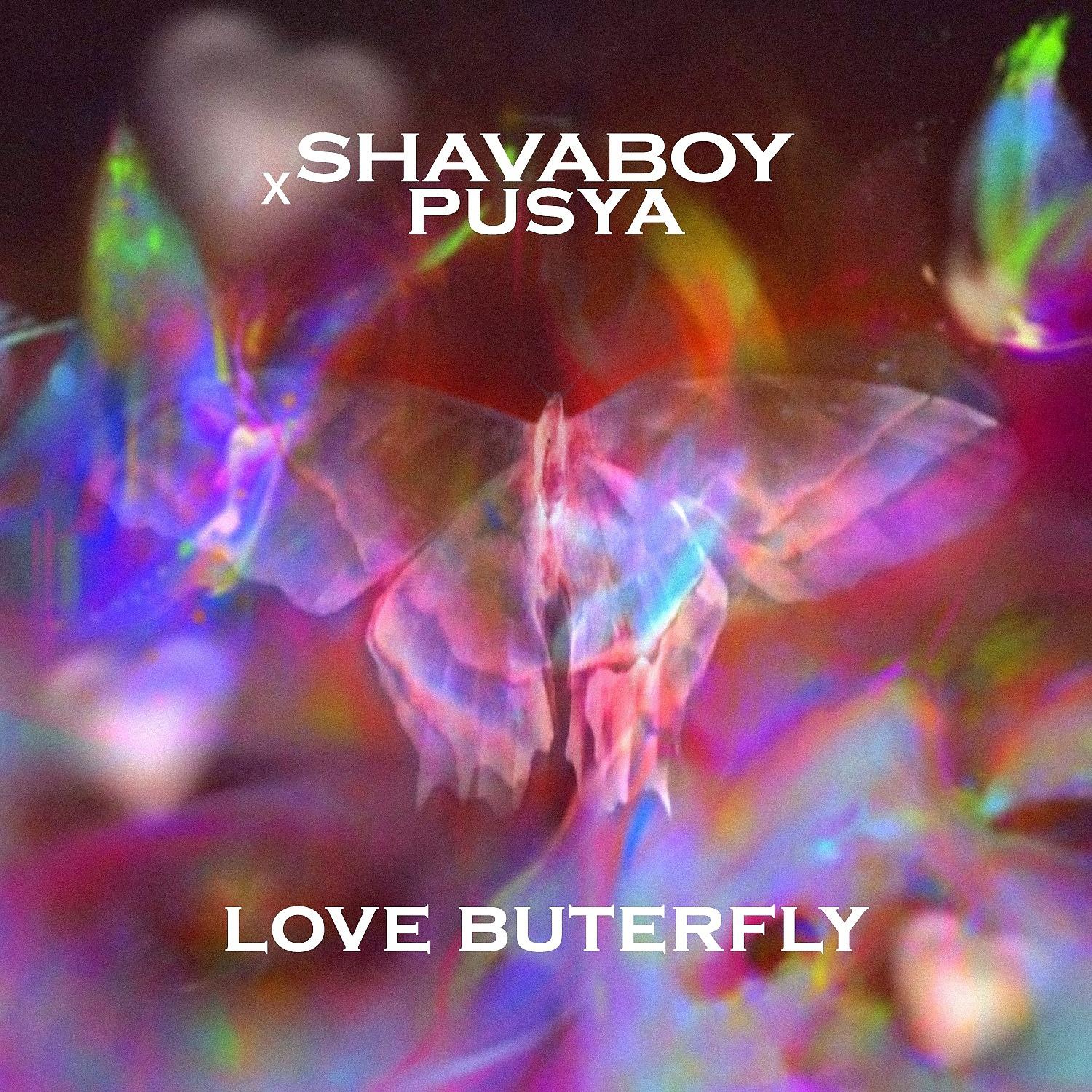 Постер альбома Love Butterfly